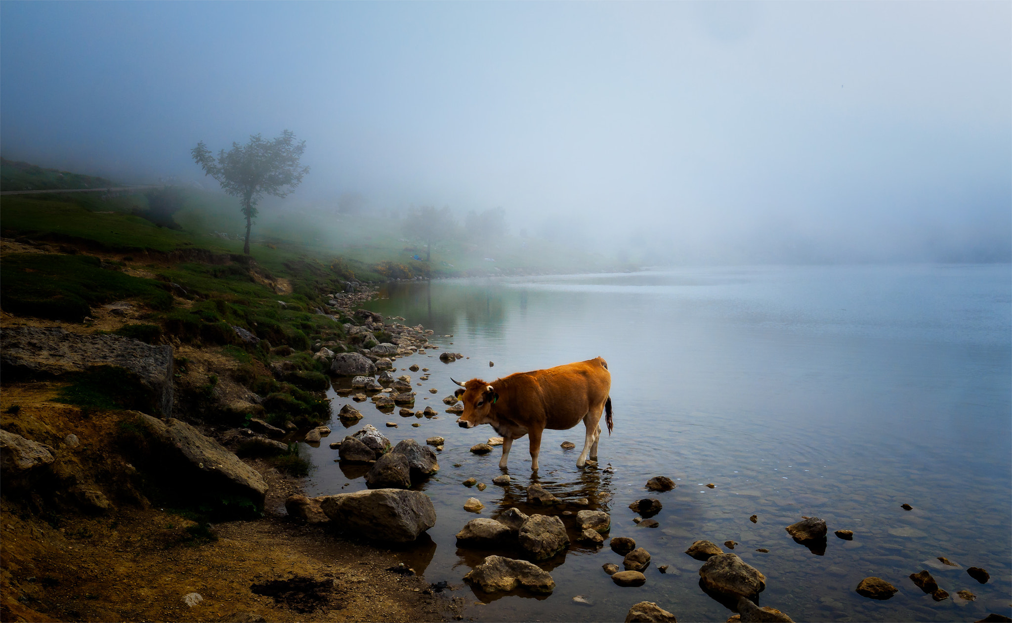 Olympus OM-D E-M5 II + Olympus M.Zuiko Digital ED 7-14mm F2.8 PRO sample photo. Lago ercina photography