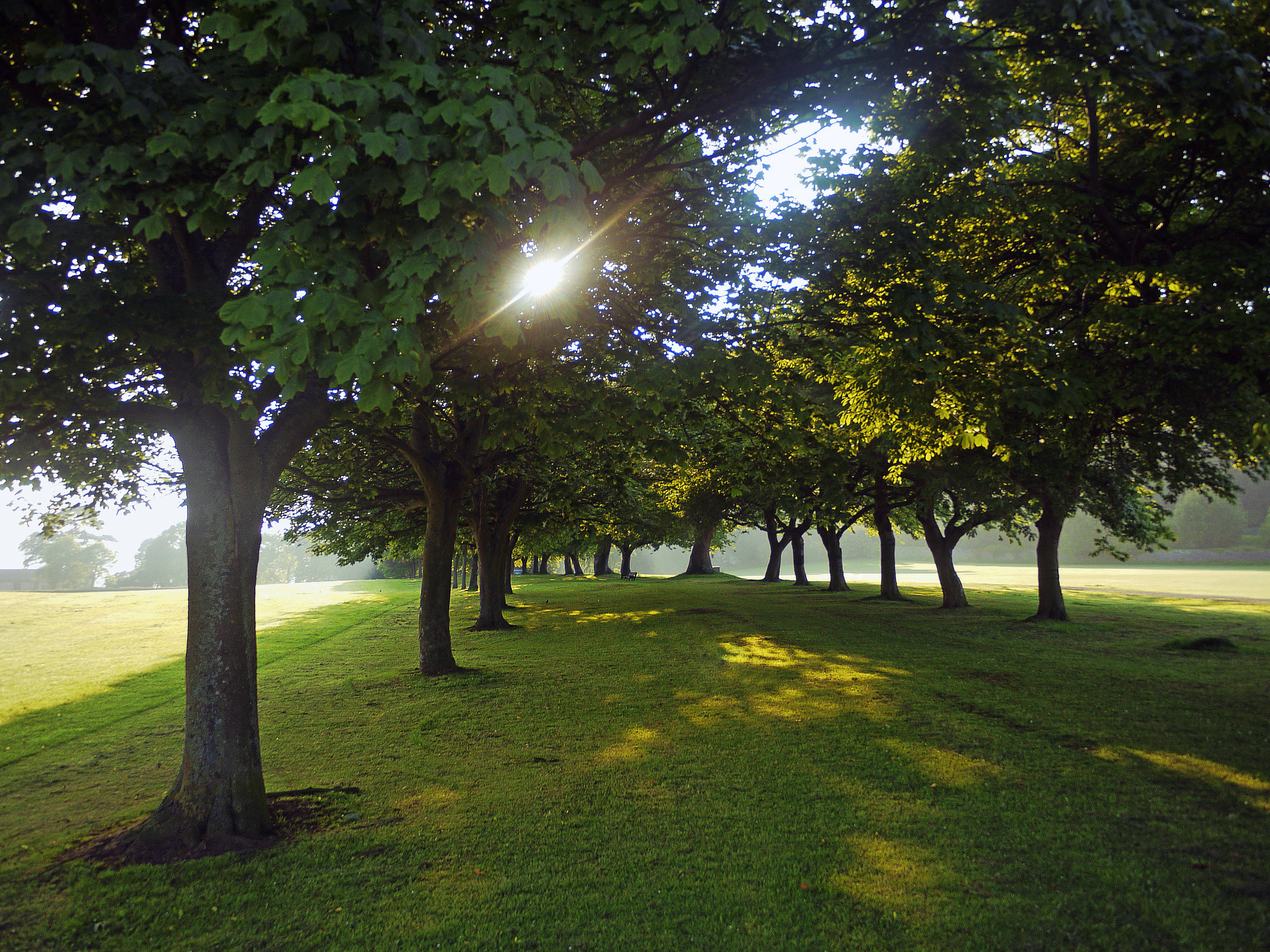 Panasonic Lumix DMC-GF1 sample photo. Oh what a beautiful morning photography