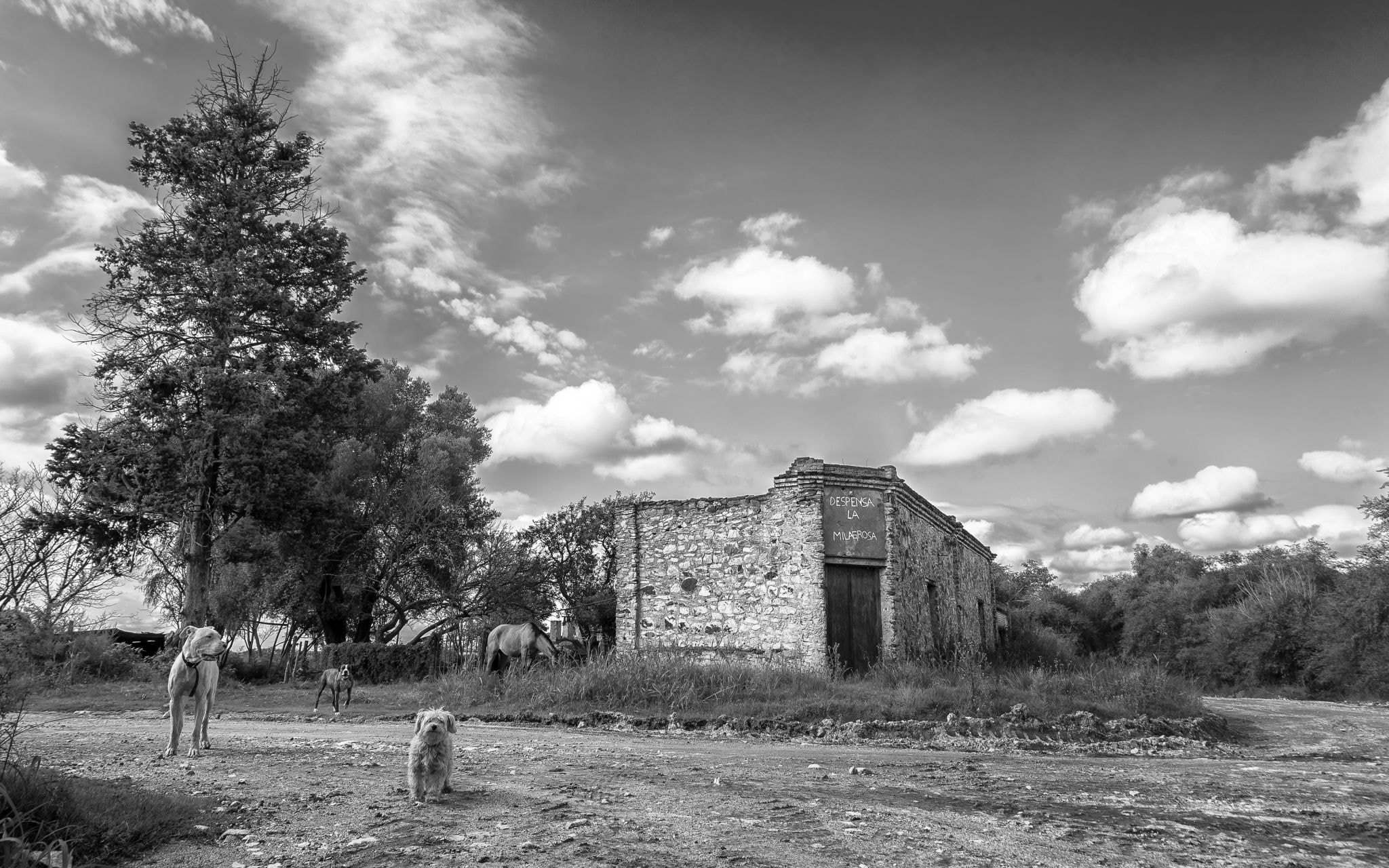 AF Zoom-Nikkor 24-120mm f/3.5-5.6D IF sample photo. La milagrosa photography
