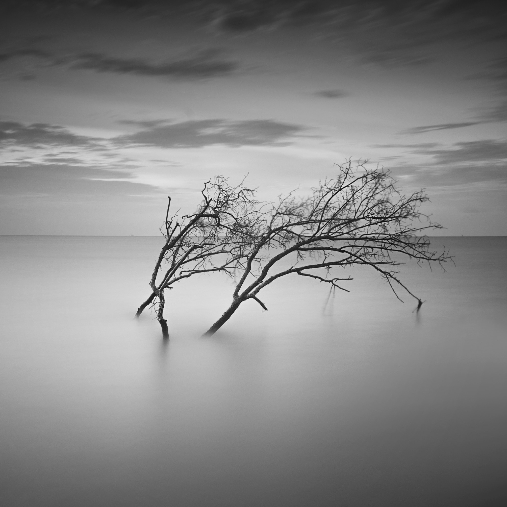 Sony Vario-Tessar T* FE 16-35mm F4 ZA OSS sample photo. Minimalist fine art balck & white photography