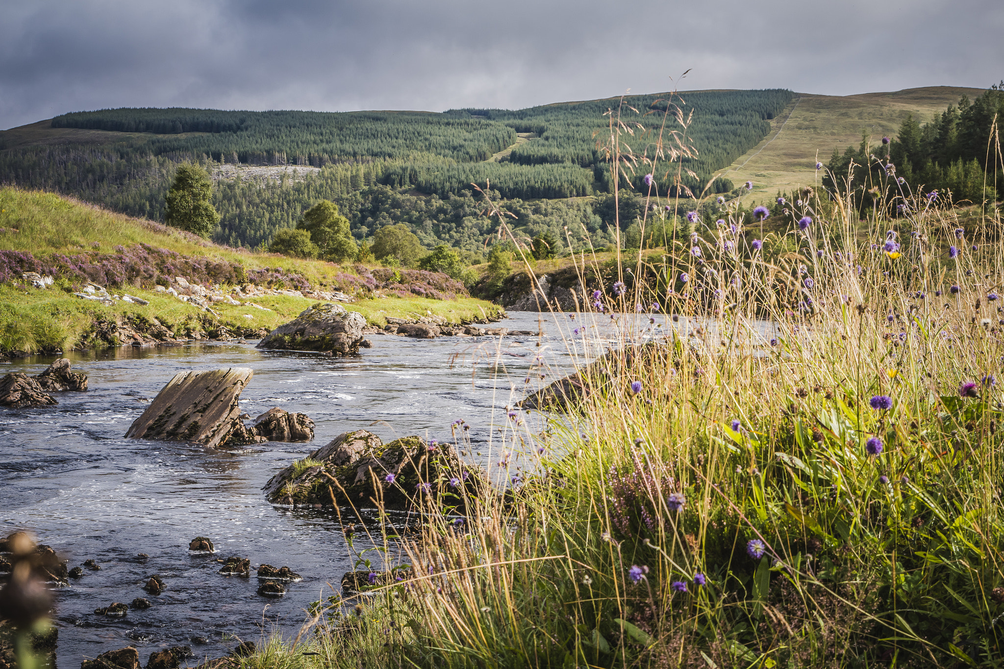 Canon EOS 70D + Sigma 24-70mm F2.8 EX DG Macro sample photo. Quiet river photography