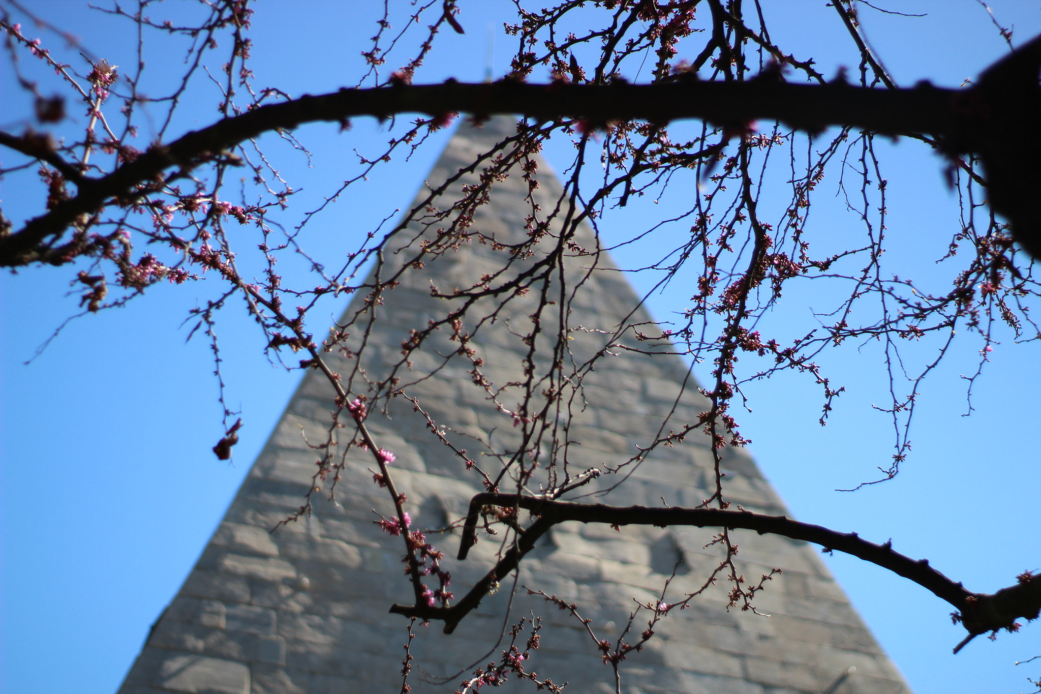 Canon 50mm sample photo. Rome photography
