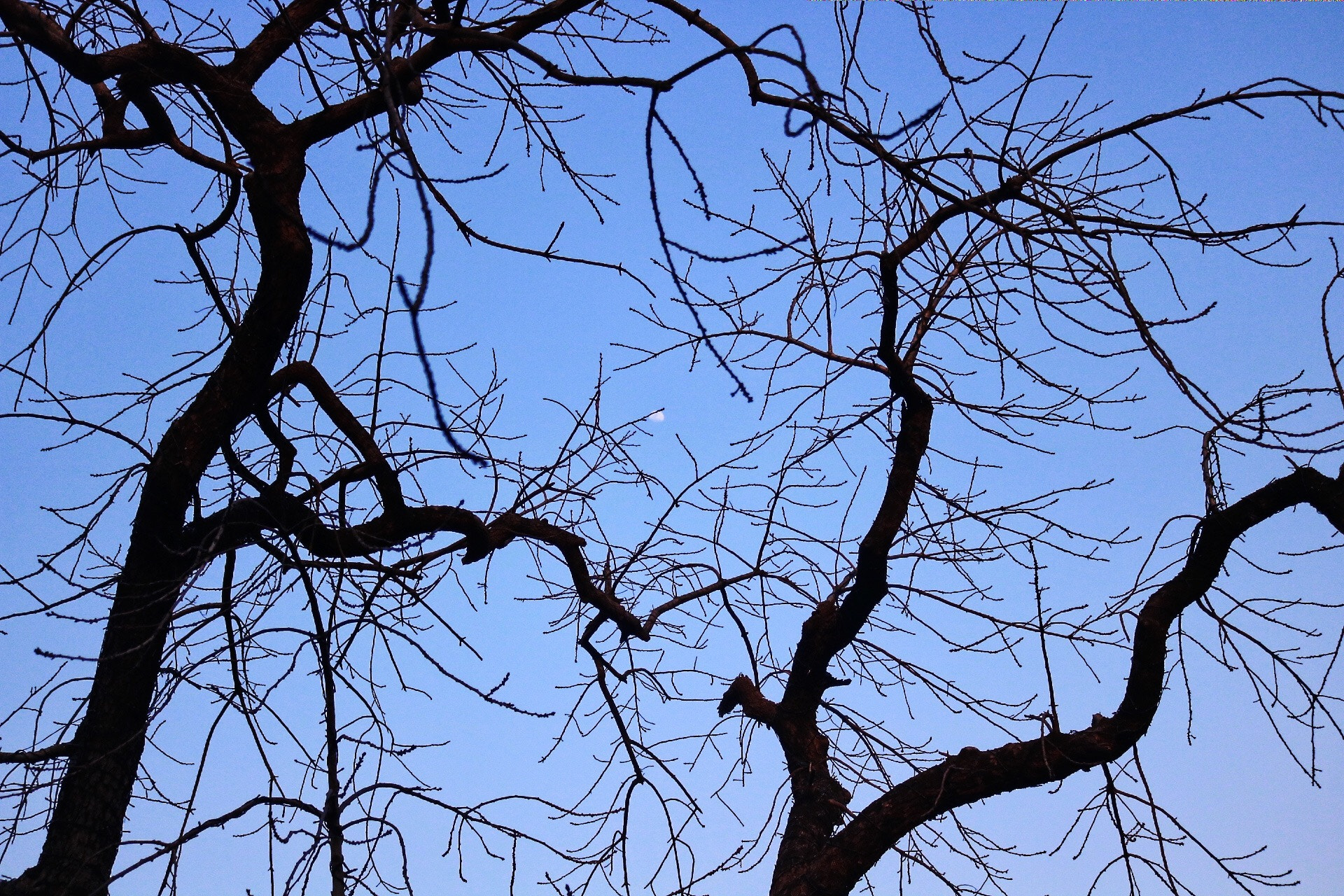 Canon EOS 760D (EOS Rebel T6s / EOS 8000D) sample photo