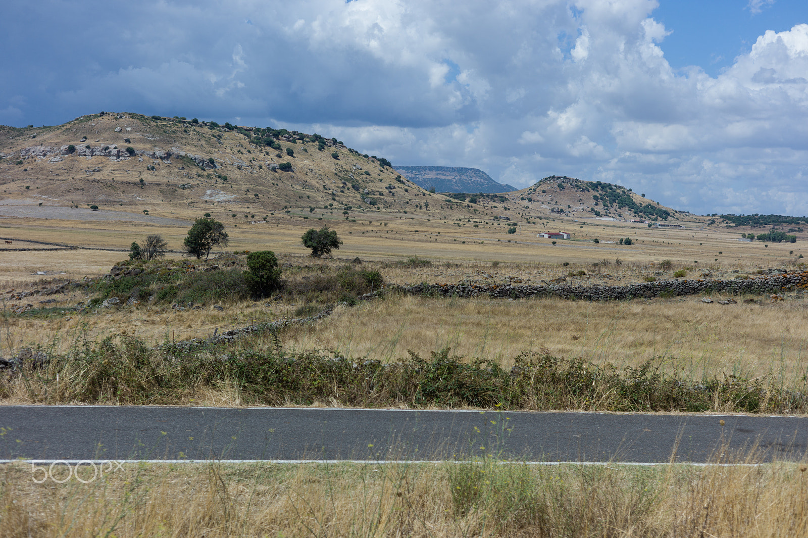Leica M9 + Summicron-M 50mm f/2 (IV, V) sample photo. Sardinian landscape photography