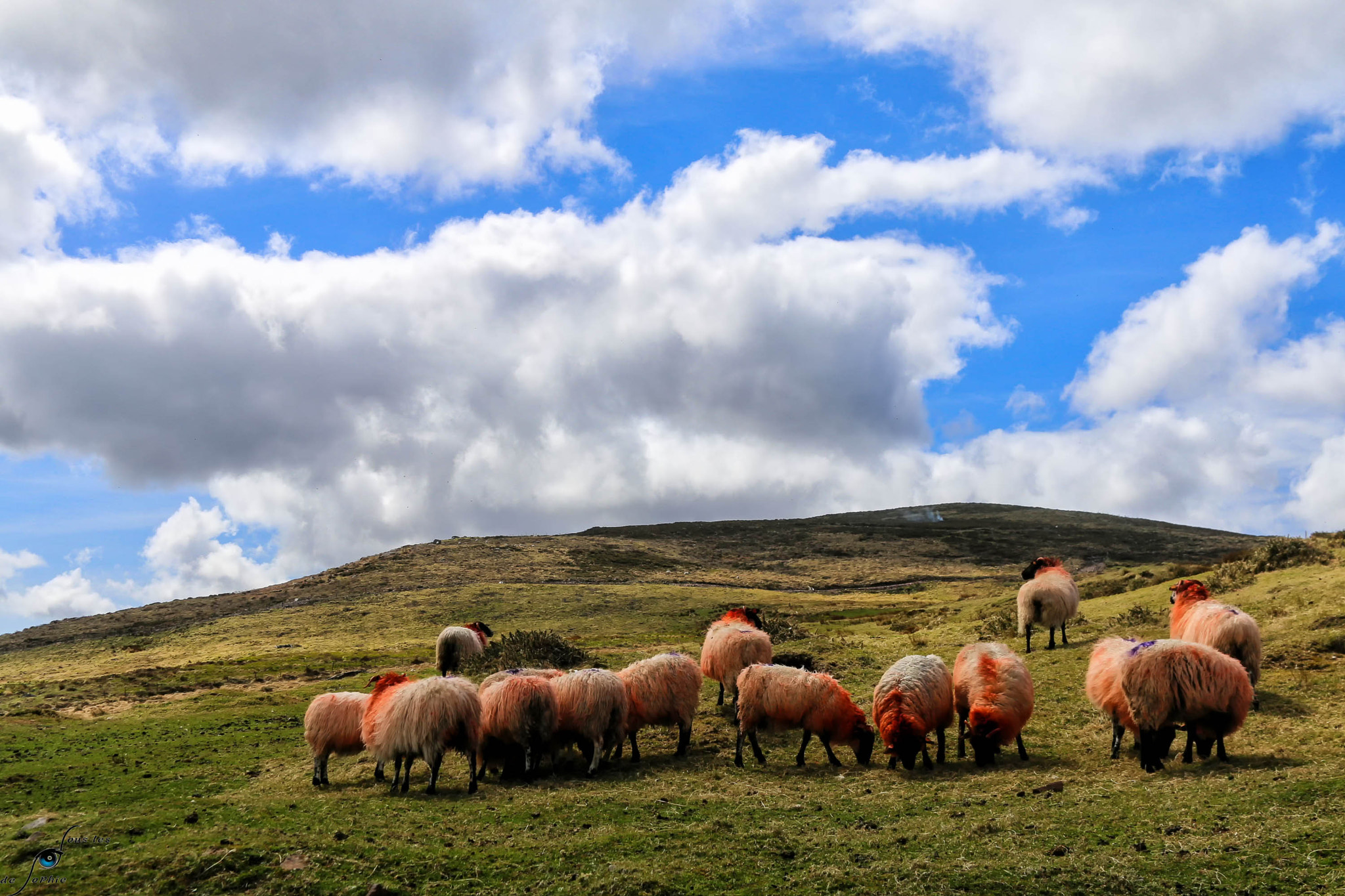 Canon EF 28-135mm F3.5-5.6 IS USM sample photo. Irish landscape photography