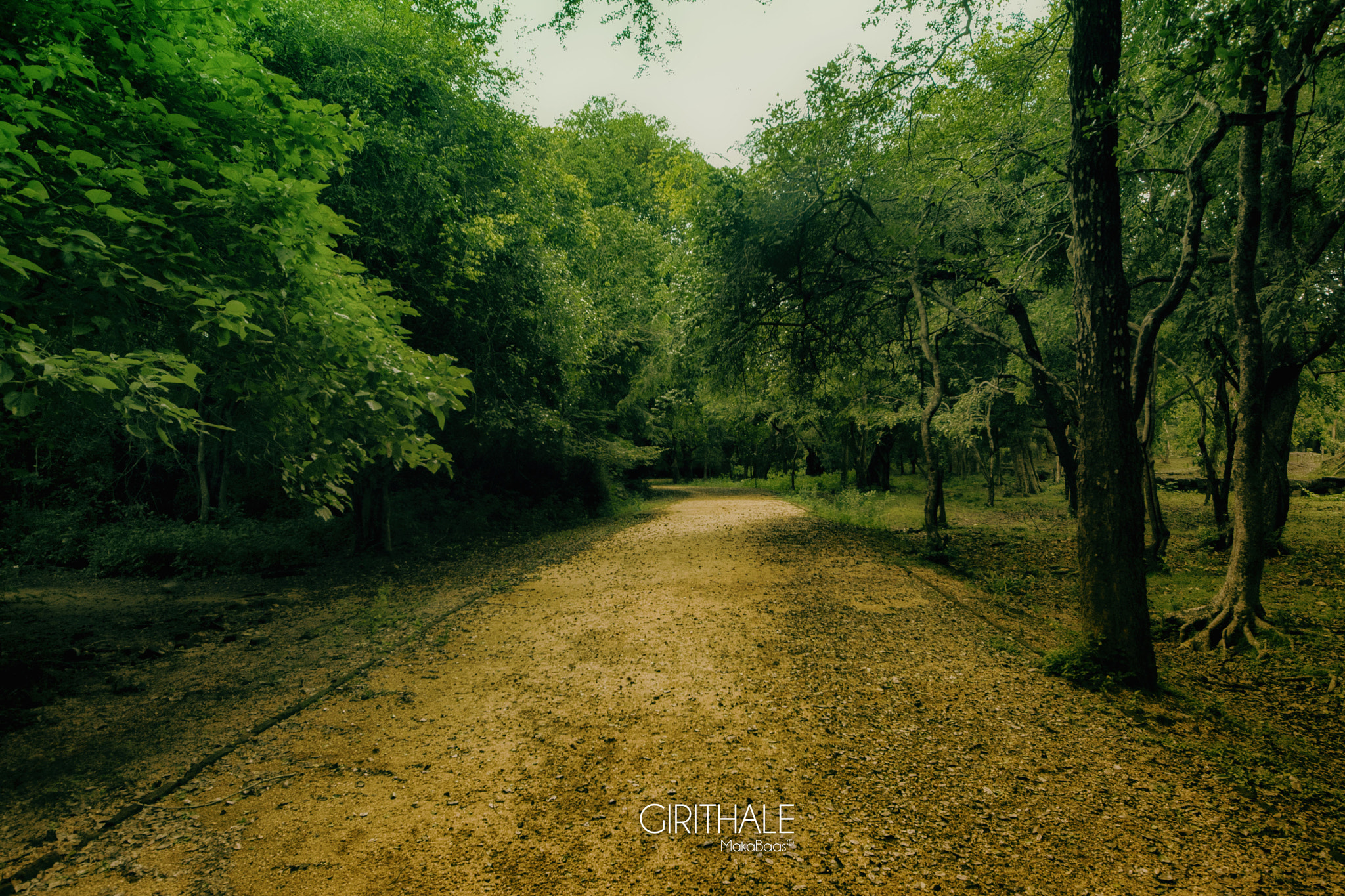 Sigma 8-16mm F4.5-5.6 DC HSM sample photo. Girithale photography