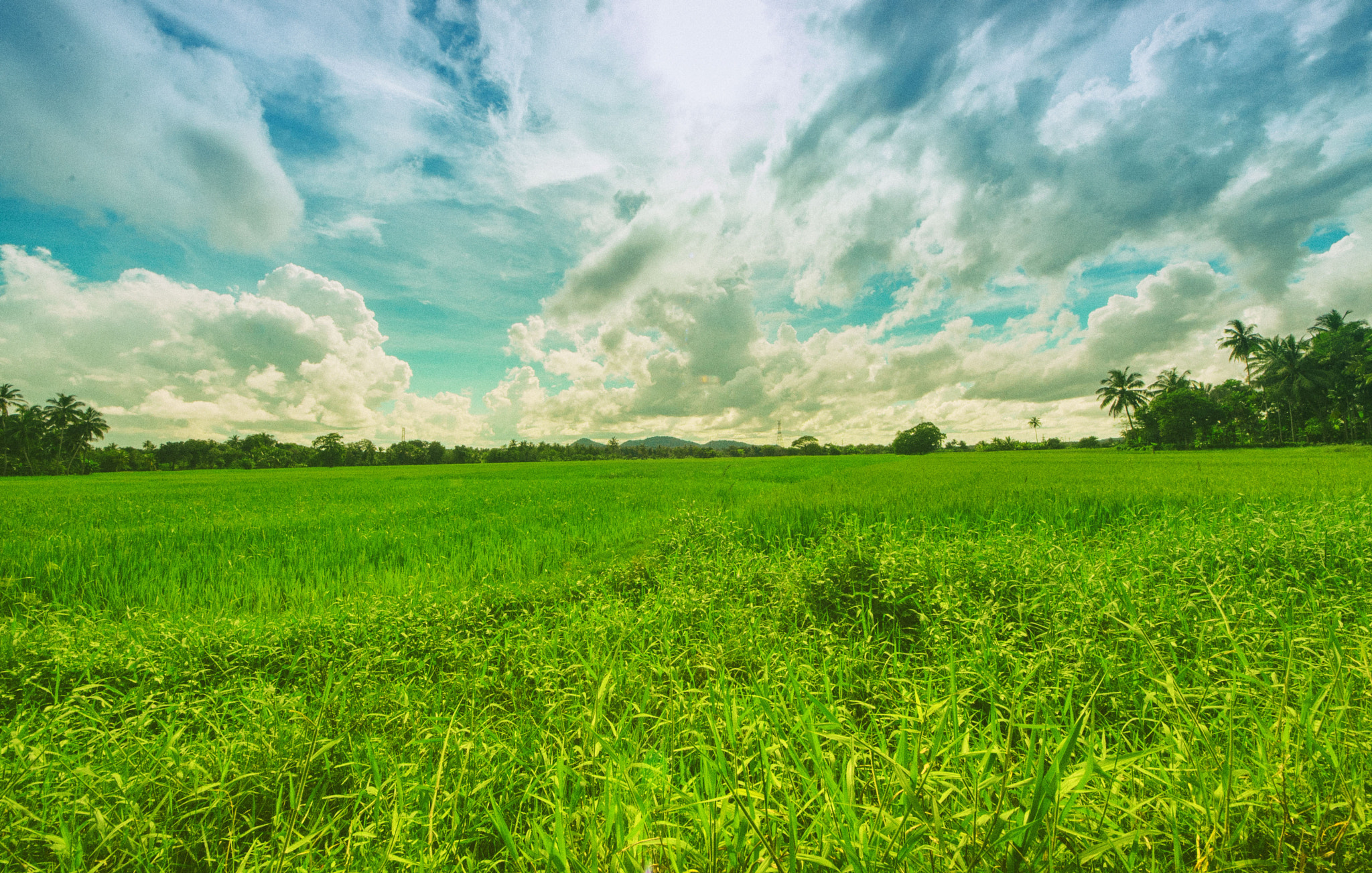 Sigma 8-16mm F4.5-5.6 DC HSM sample photo. Girithale photography