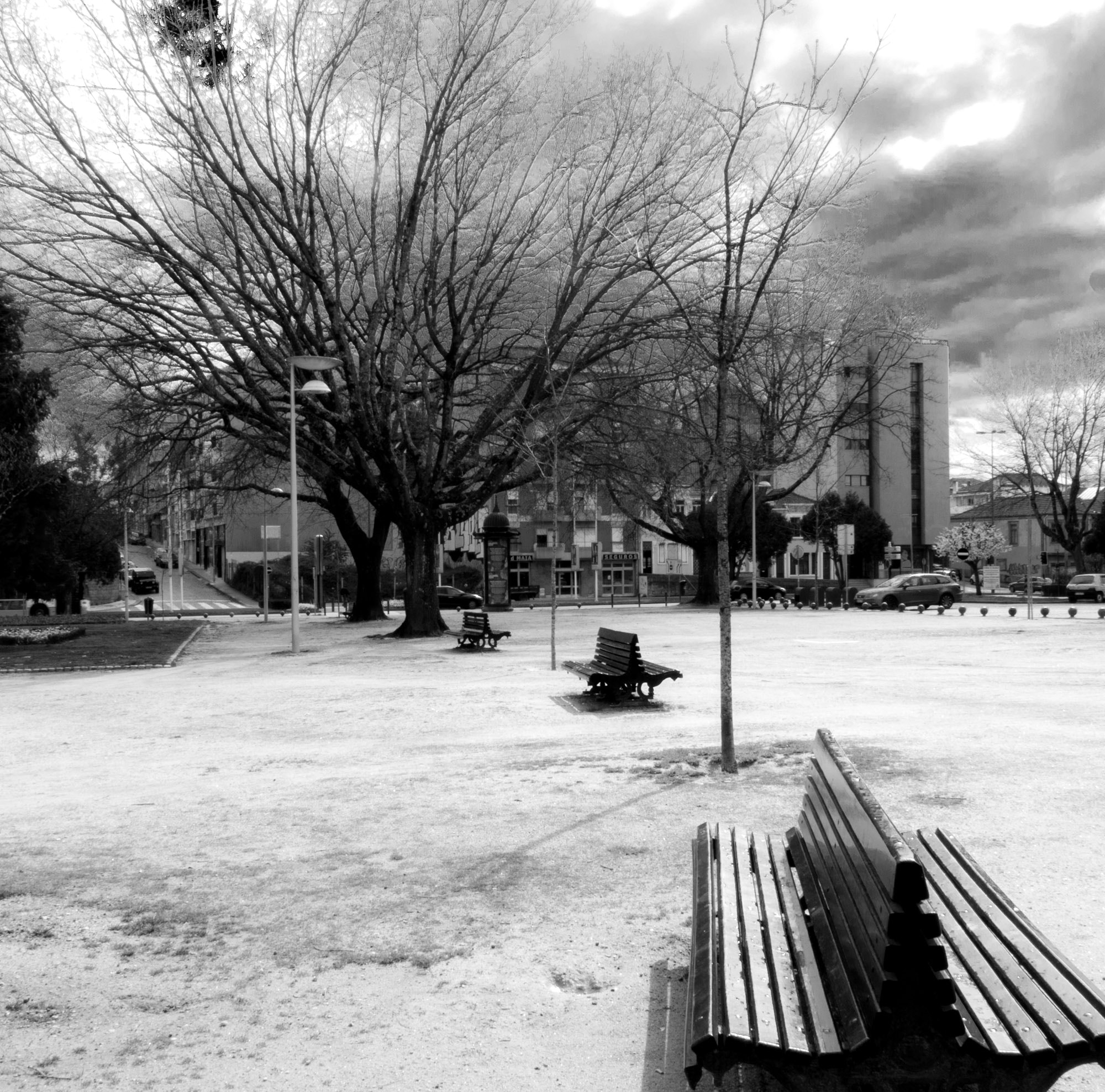 Sony Cyber-shot DSC-RX10 sample photo. Winter trees (15) photography