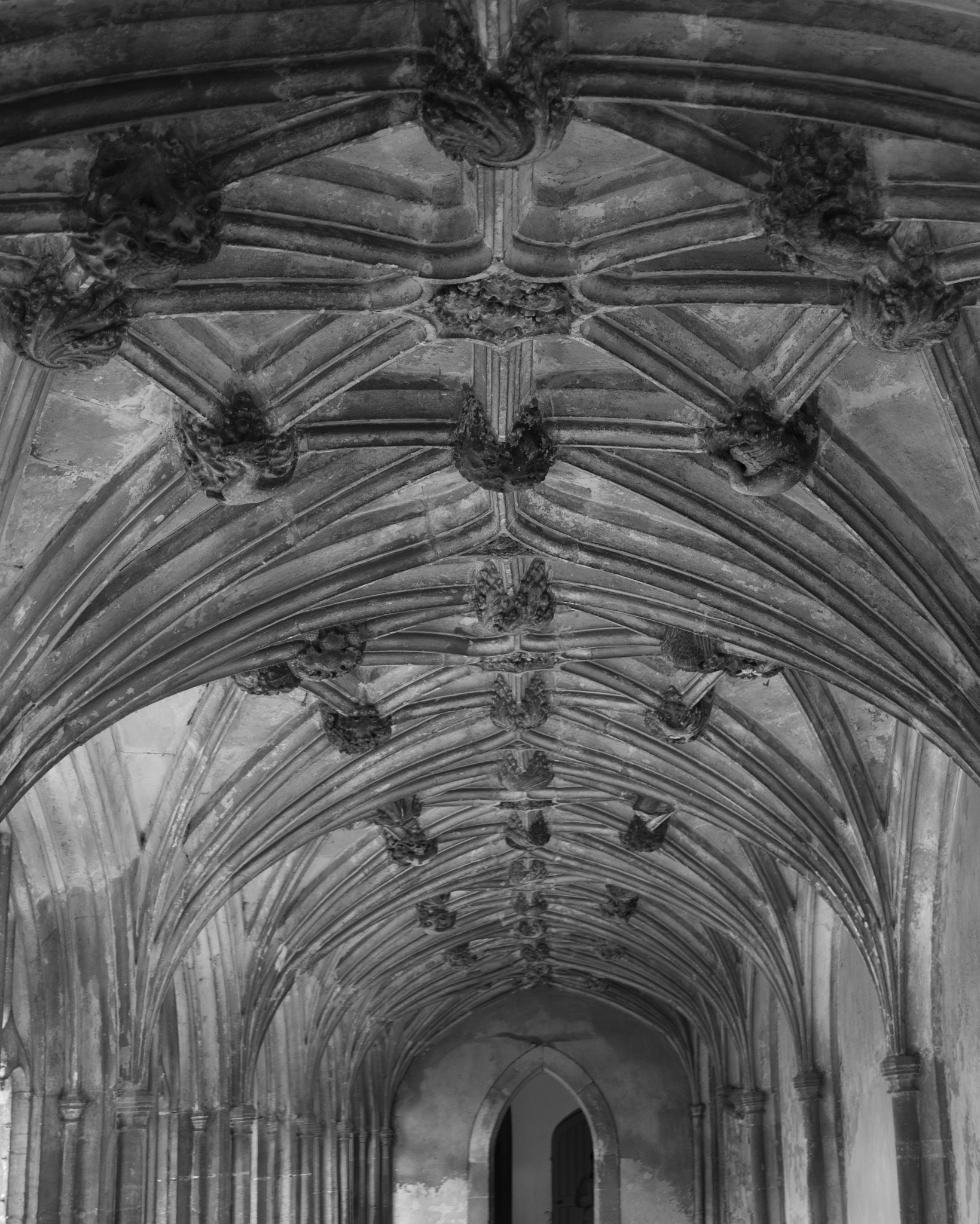 Pentax K-3 II sample photo. Lacock abbey ceiling photography