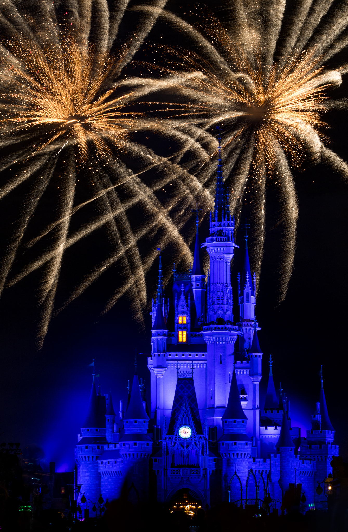 Canon EF 70-200mm F4L IS USM sample photo. Long exposure fireworks -disney photography