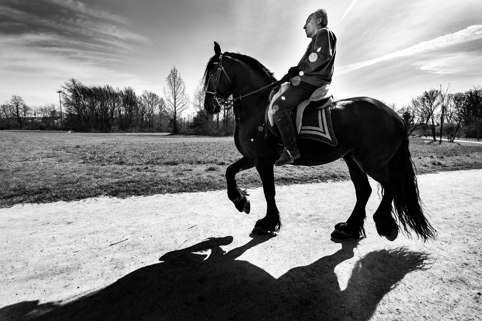 Olympus M.Zuiko Digital ED 7-14mm F2.8 PRO sample photo. Horse photography