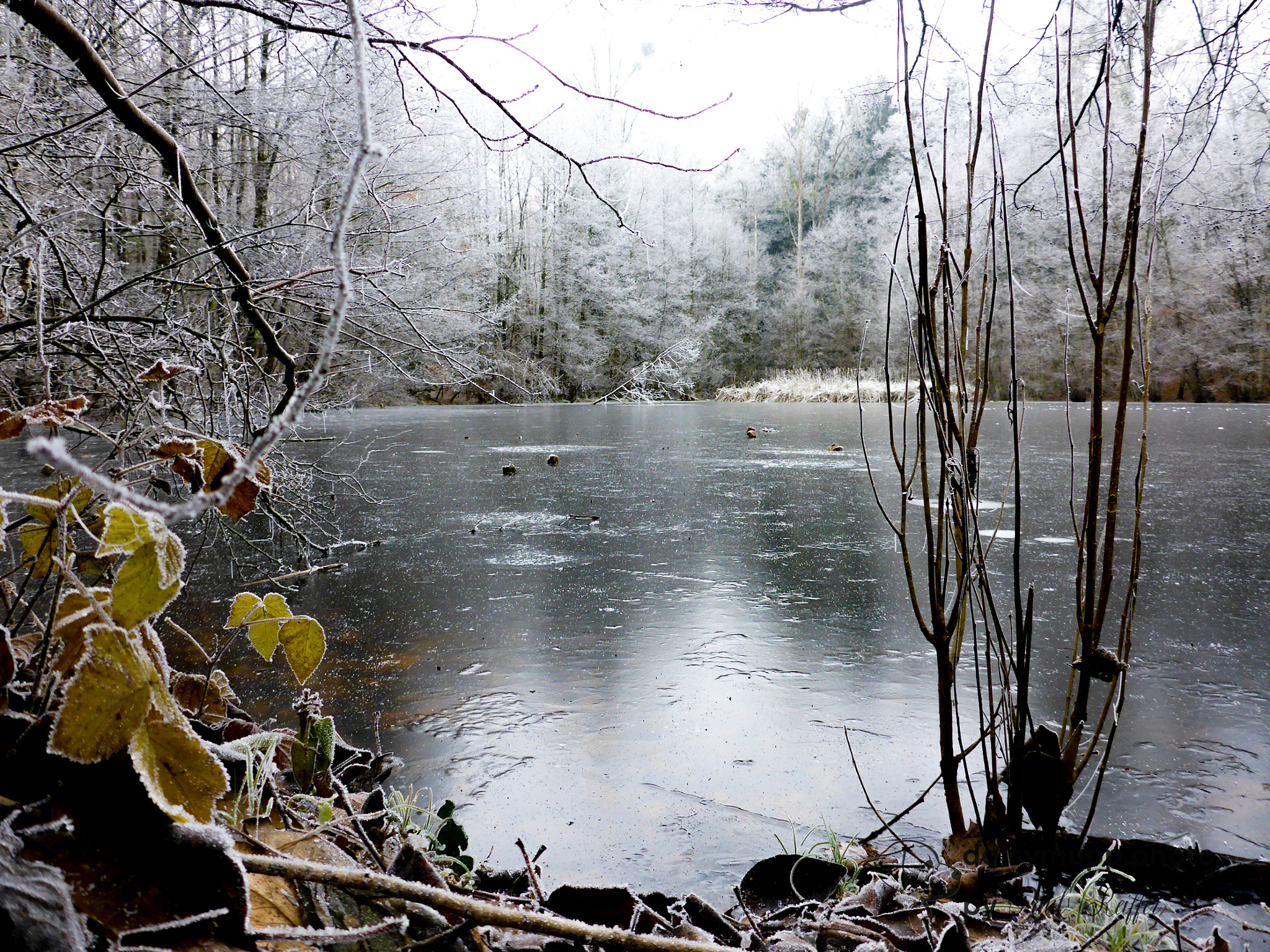 Panasonic Lumix DMC-TS5 (Lumix DMC-FT5) sample photo. Pond winter edited photography