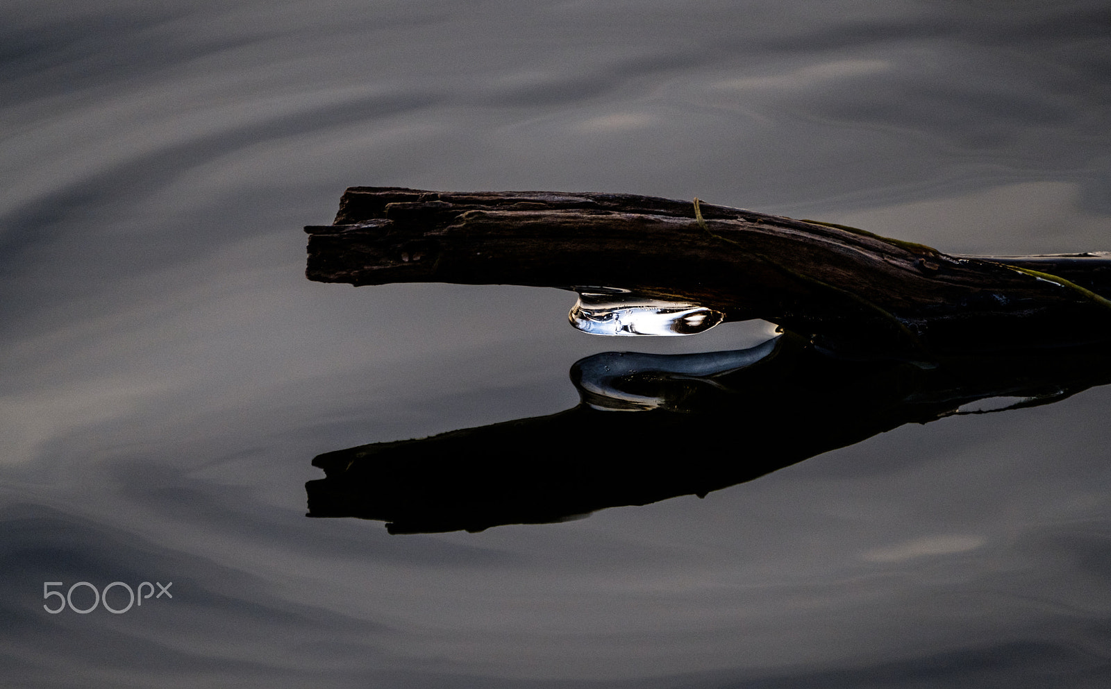 Fujifilm XF 100-400mm F4.5-5.6 R LM OIS WR sample photo. Portage county diamond photography