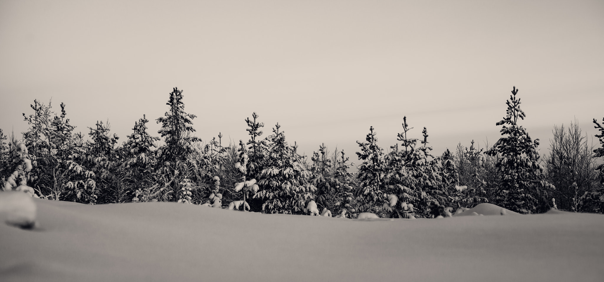 Canon EOS 5D Mark II sample photo. White. winter. photography