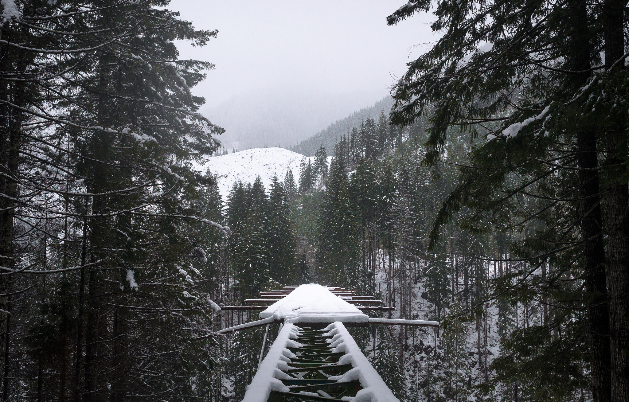 Nikon D7000 + Sigma 35mm F1.4 DG HSM Art sample photo. Vance creek bridge. photography