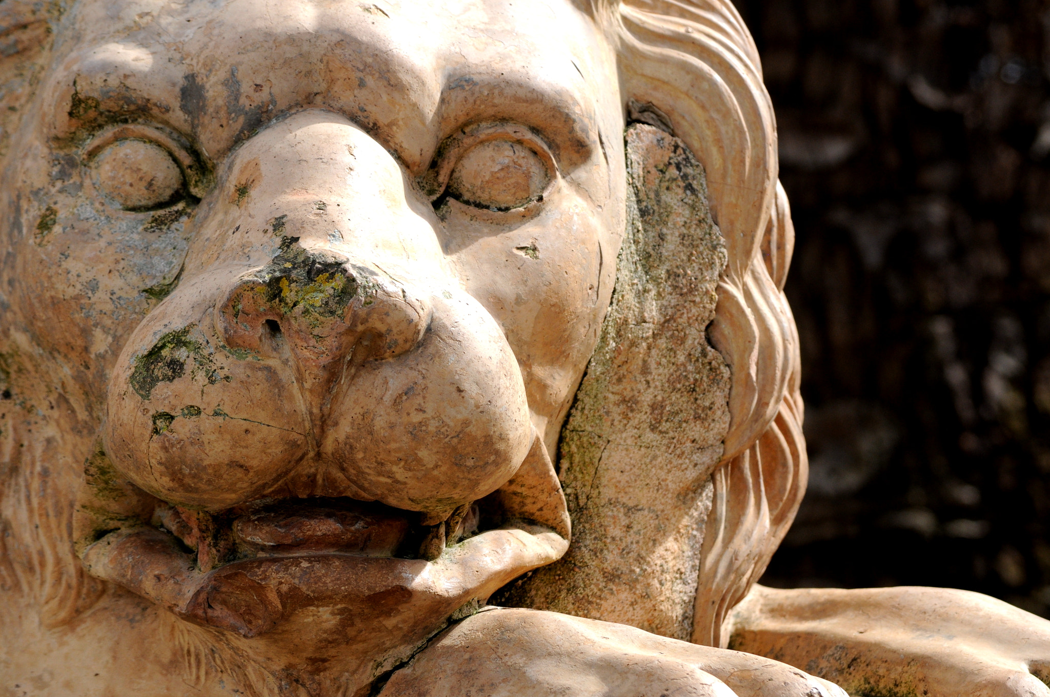 Nikon D5000 sample photo. Lion of alfabia photography