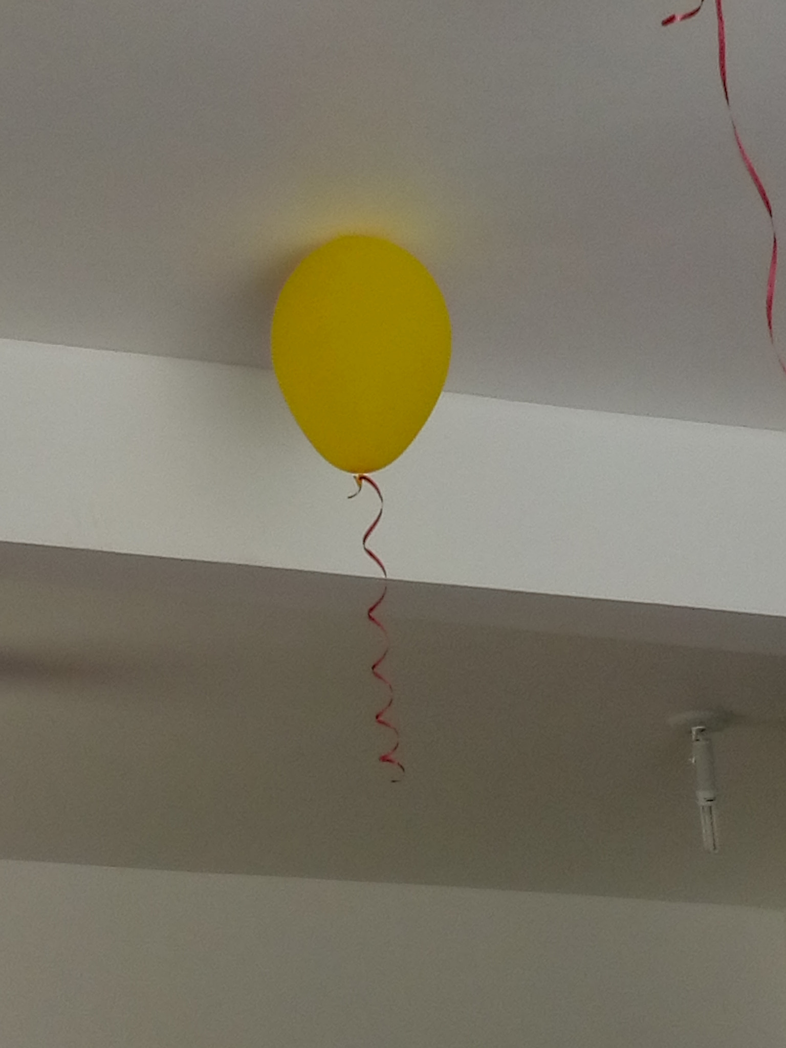 Lenovo VIBE K10 sample photo