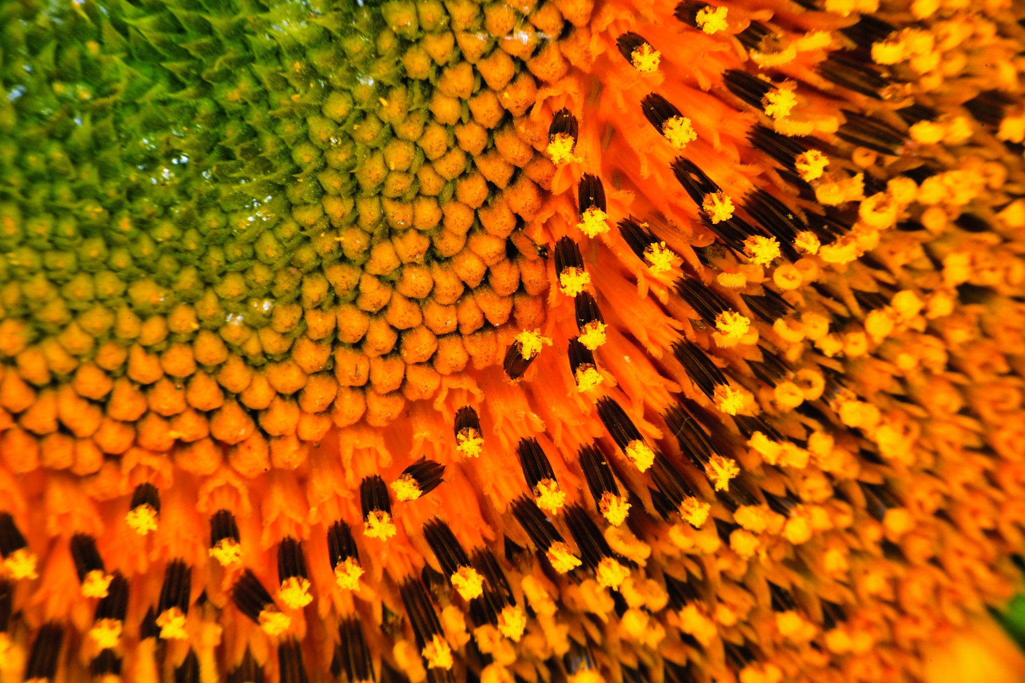 Nikon D5 sample photo. Contour photography