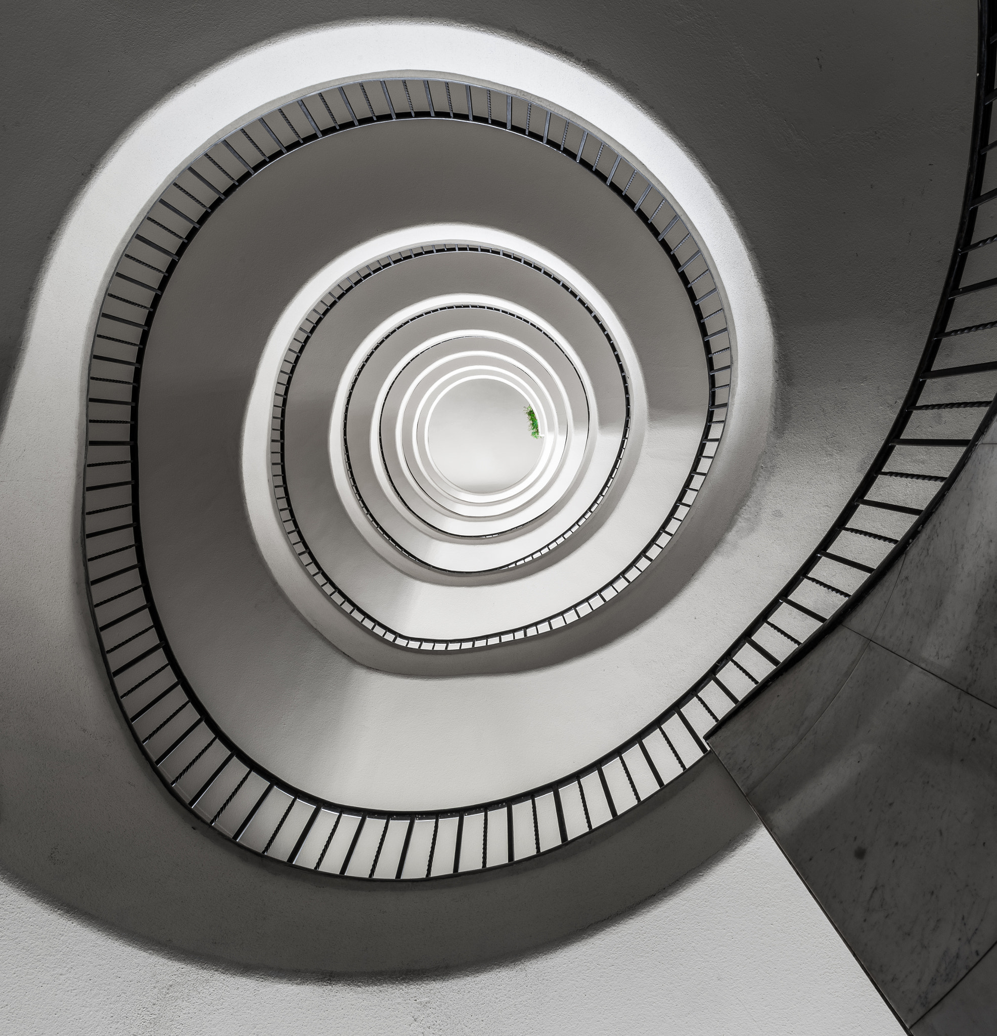 Nikon AF-S Nikkor 20mm F1.8G ED sample photo. Spiral caterpillar photography