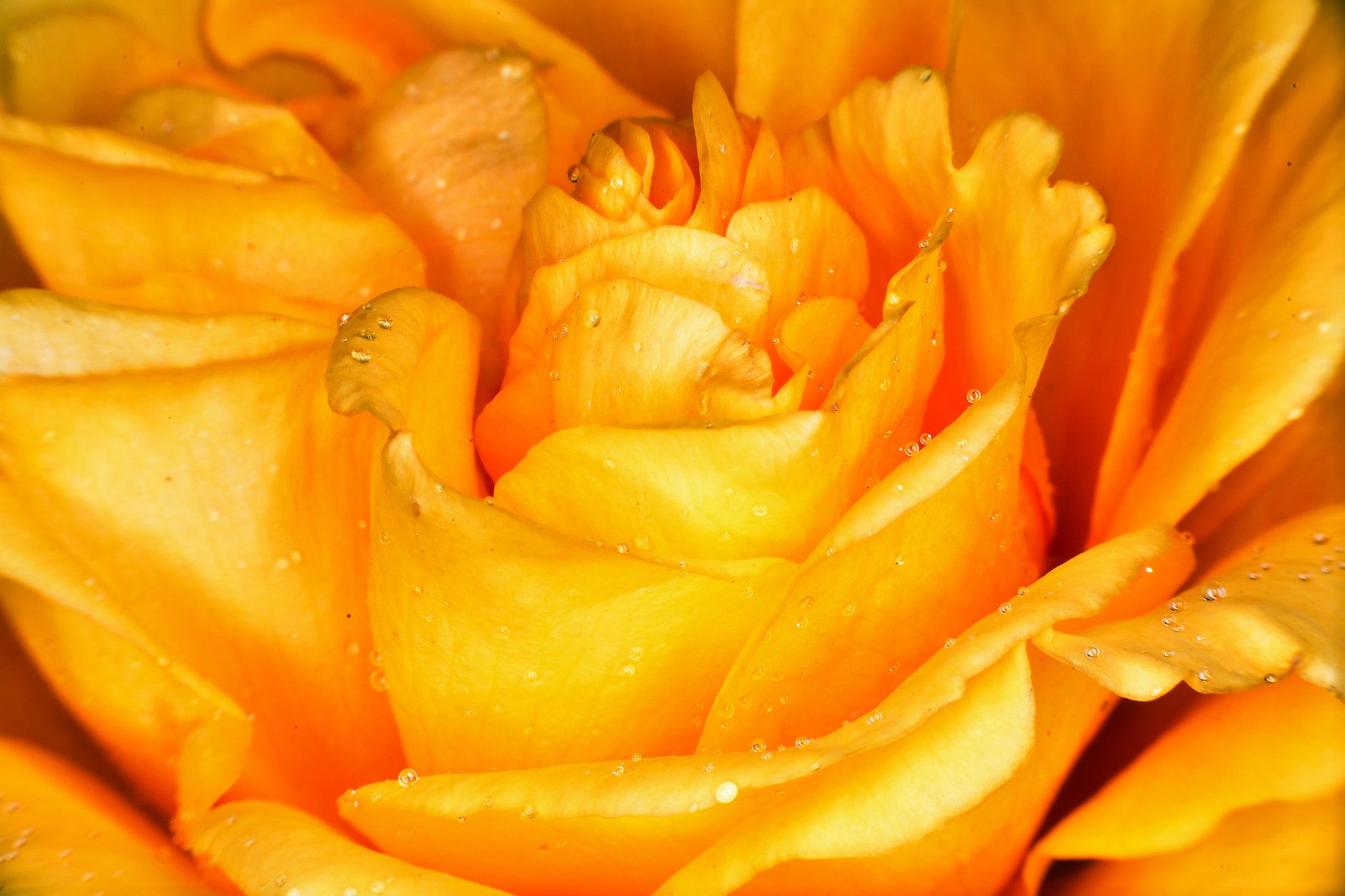 Nikon D5 sample photo. Spiral photography