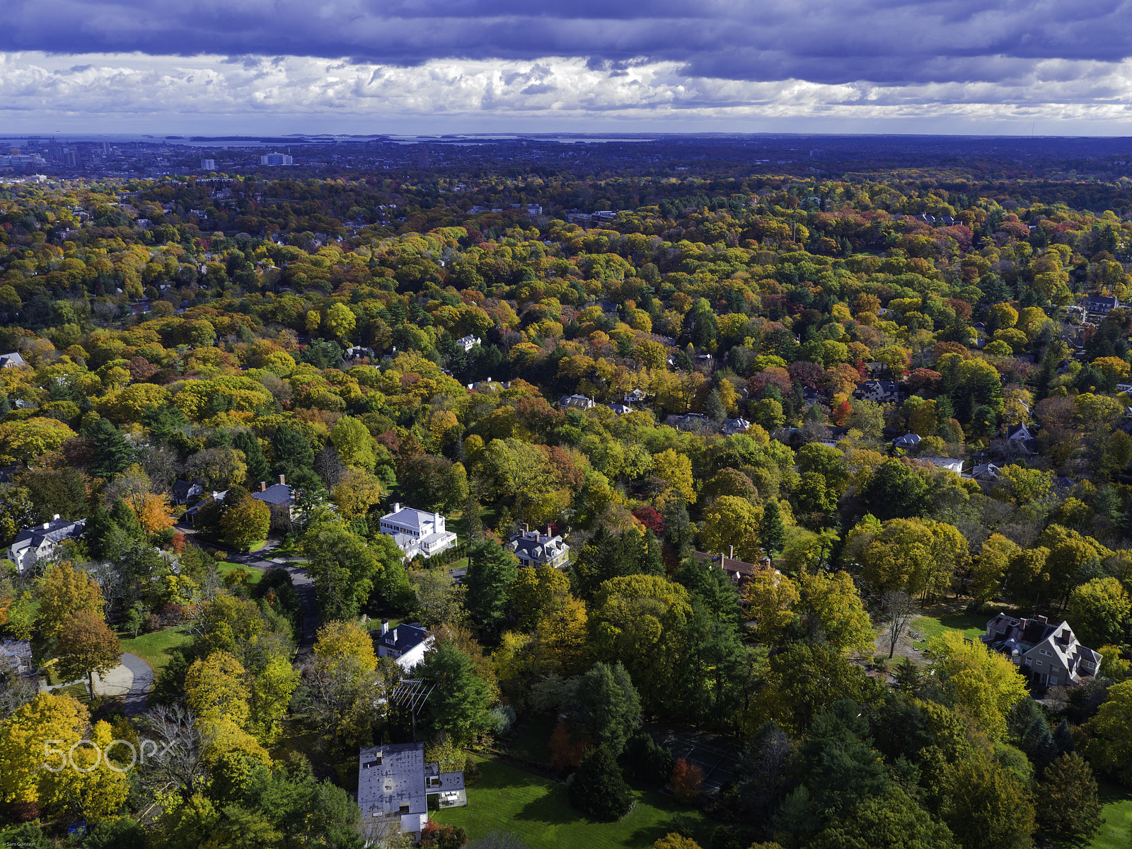 DJI FC550RAW sample photo. Fall foliage over newton, ma photography