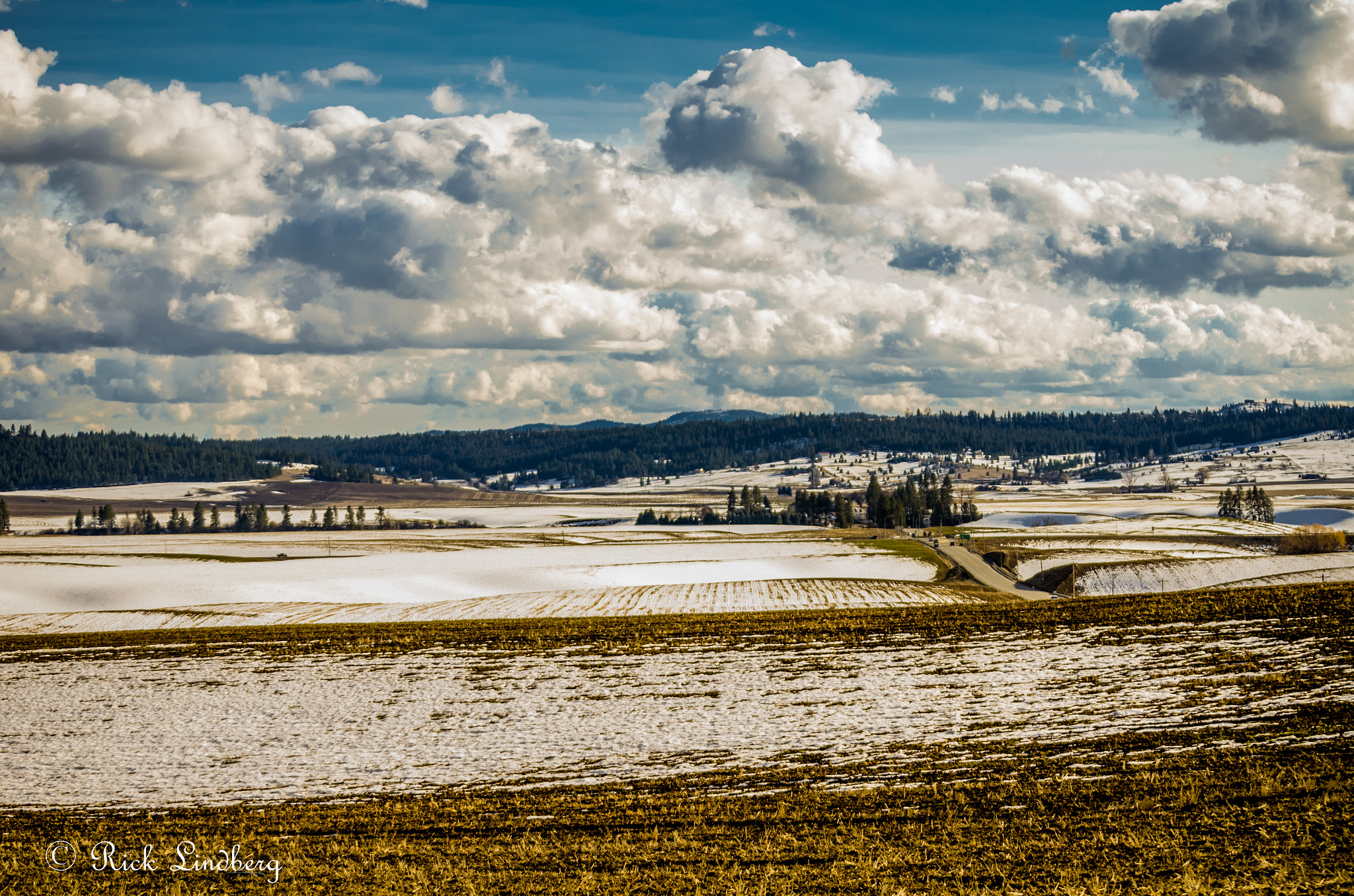 Pentax K-5 sample photo. Stubble photography