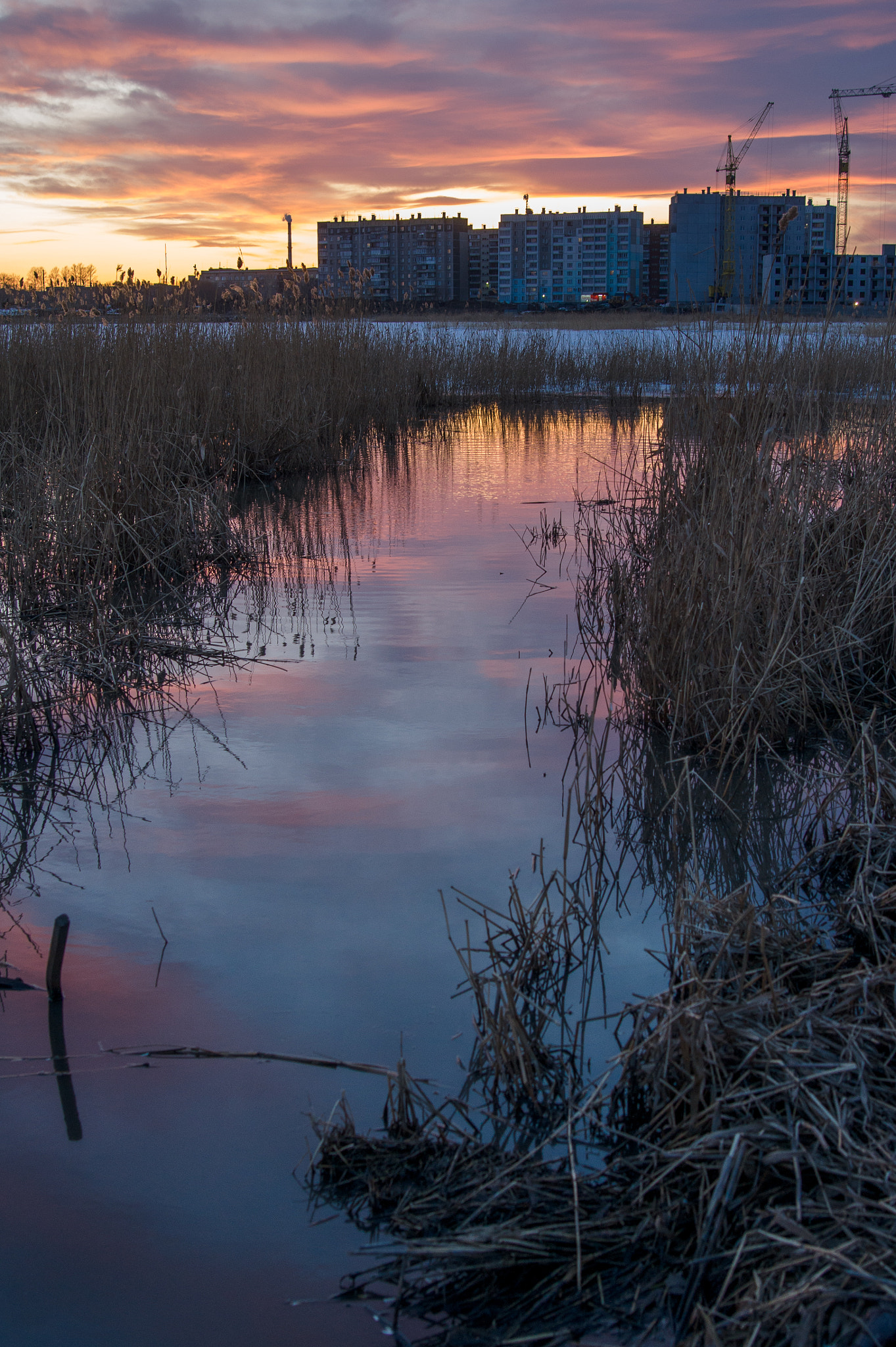 Sony Alpha DSLR-A450 sample photo. Sunset on the smolino lake photography