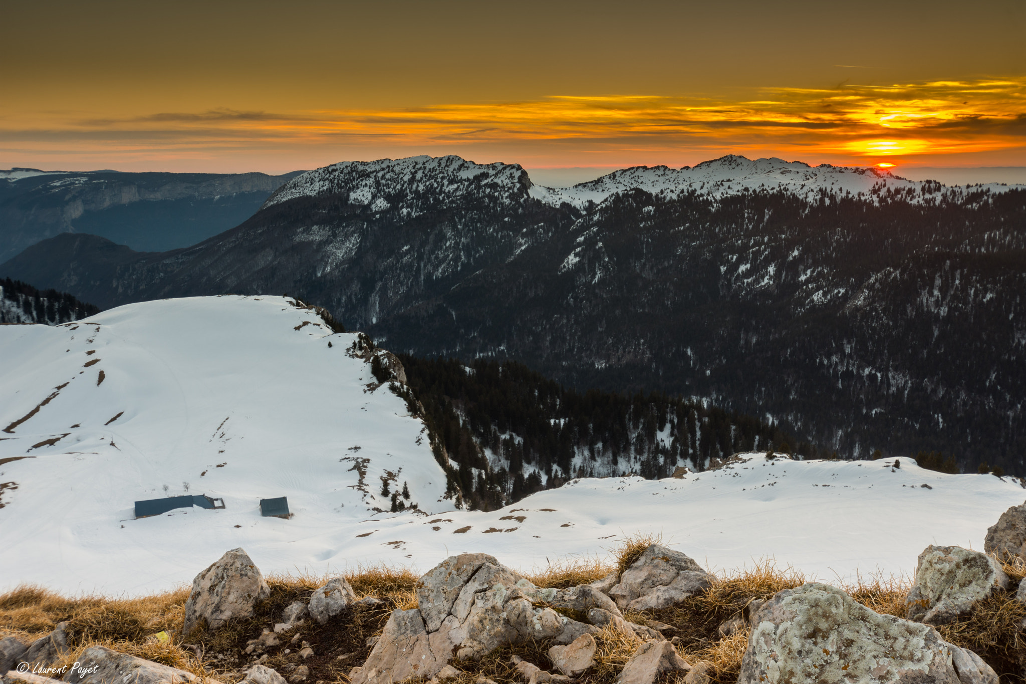 Nikon D7200 sample photo. Sunset on chartreuse photography