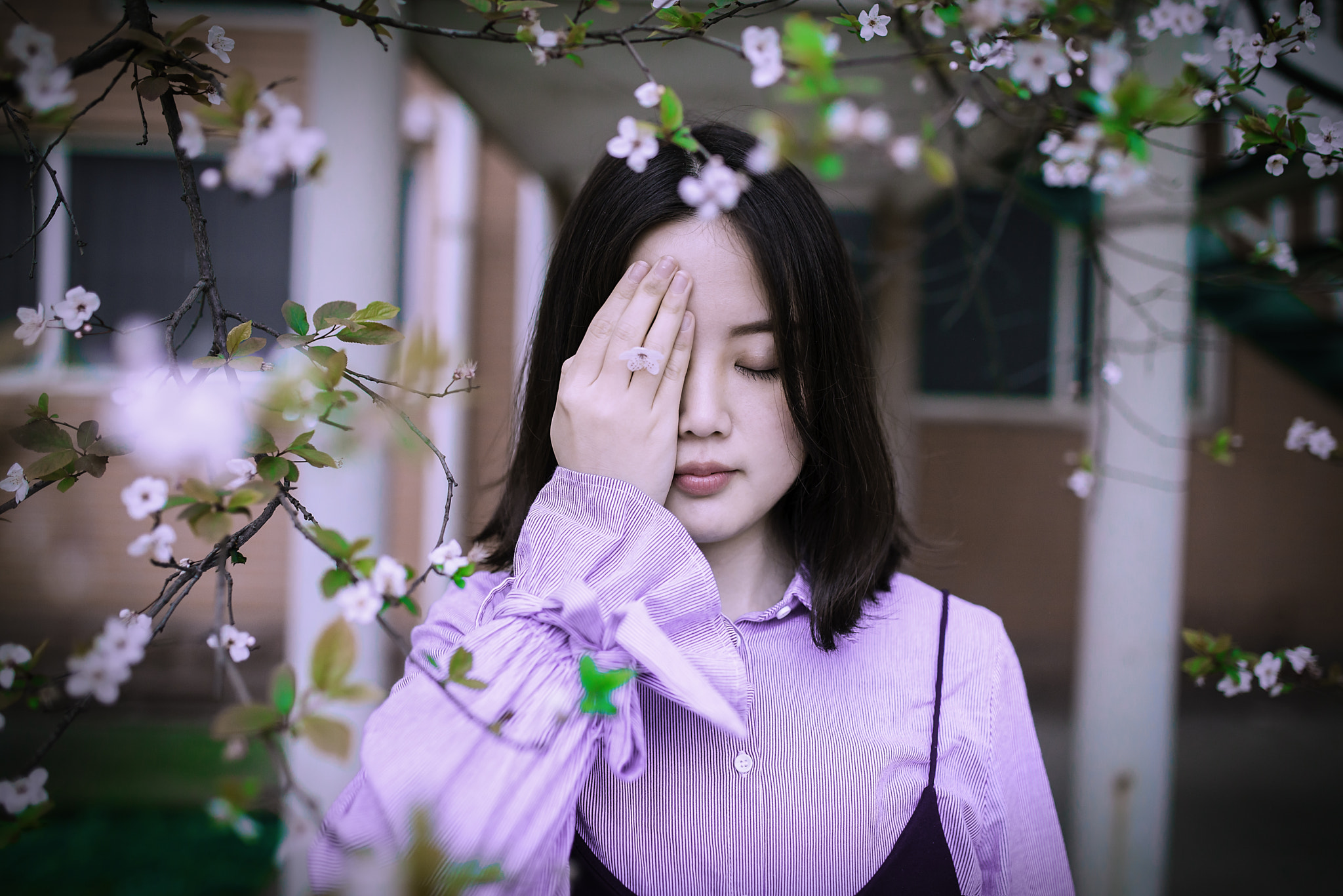 Nikon D800 + Sigma 35mm F1.4 DG HSM Art sample photo. Spring photography