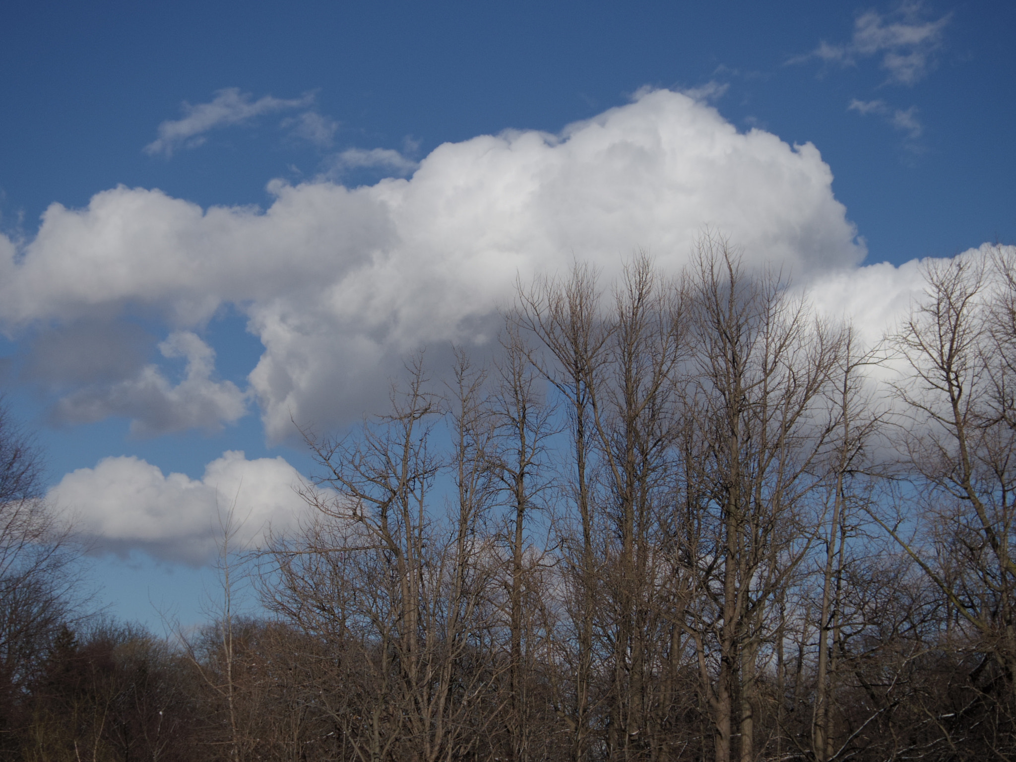 Pentax Q-S1 sample photo. Cloud trees photography