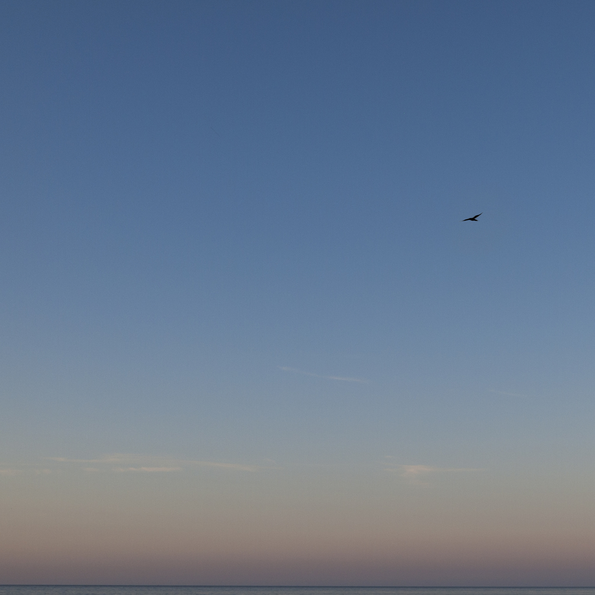 Olympus E-620 (EVOLT E-620) + OLYMPUS 14-42mm Lens sample photo. Return to covehead photography