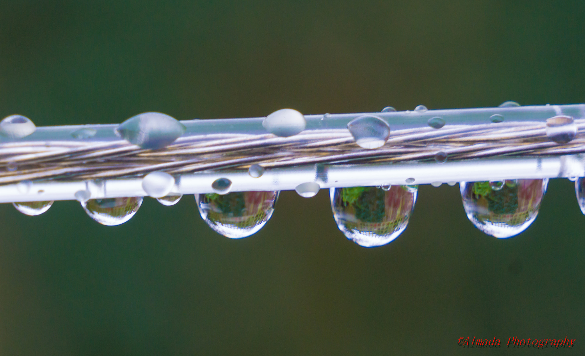 Sony a6000 + Sony FE 24-70mm F2.8 GM sample photo. Drops of hope photography