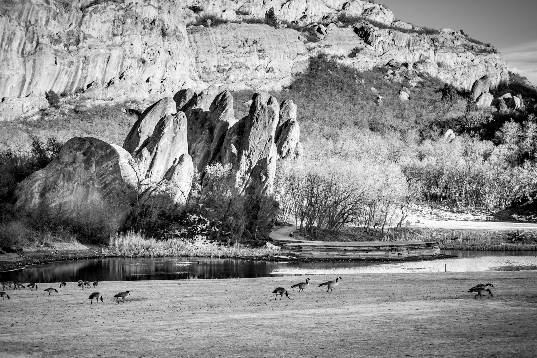 Nikon D3400 sample photo. Arrowhead golf course i photography