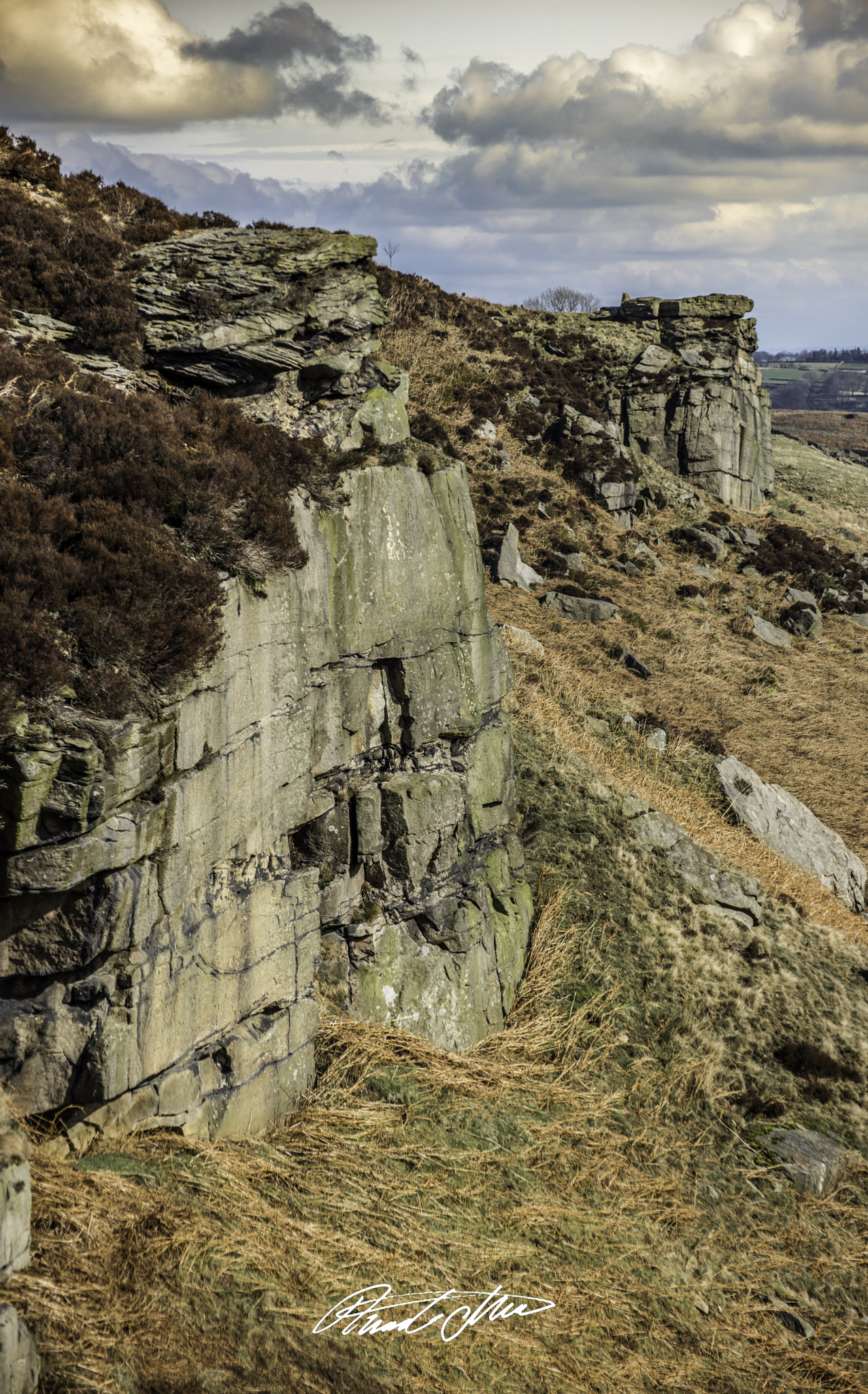Nikon D810 sample photo. North moor photography