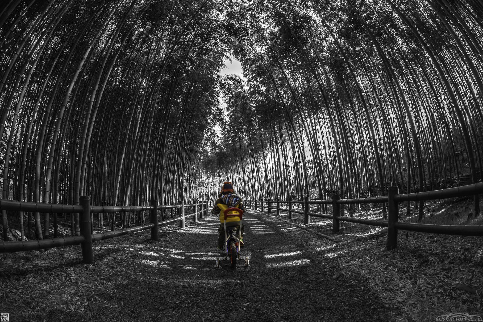 Nikon D610 + Sigma 15mm F2.8 EX DG Diagonal Fisheye sample photo. Yuji photography