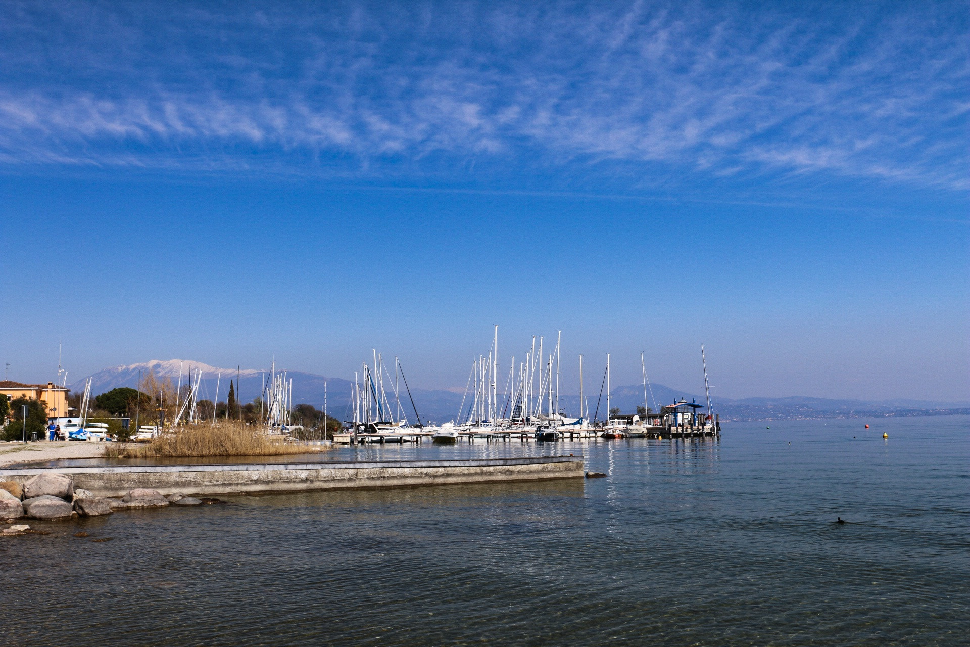 Canon EF 24-70mm F4L IS USM sample photo