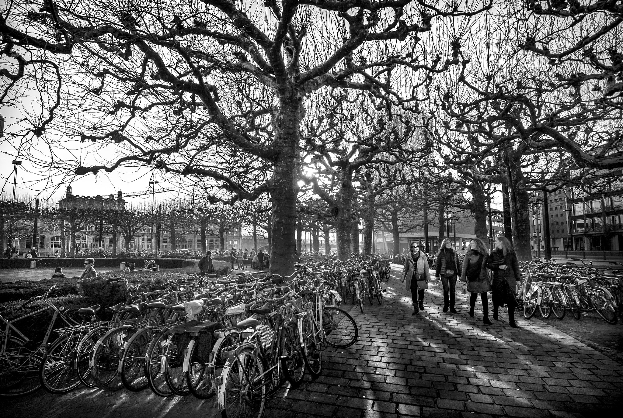 Nikon 1 V2 + Nikon 1 Nikkor VR 6.7-13mm F3.5-5.6 sample photo. Ghent in march photography