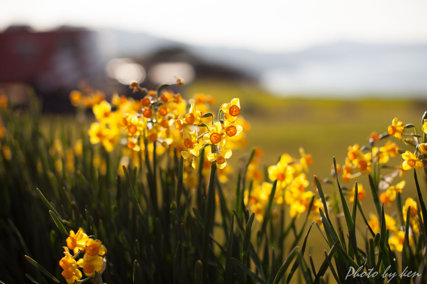 Canon EF 50mm F1.2L USM sample photo. Img photography