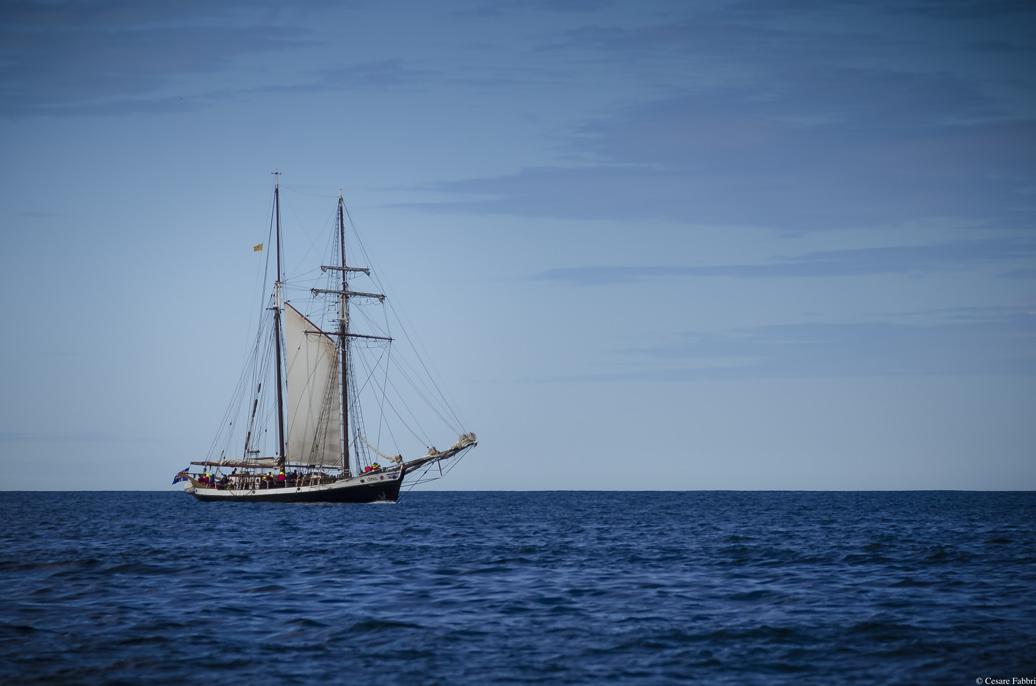 Nikon AF-S Nikkor 24-120mm F4G ED VR sample photo. Whale watching in iceland photography