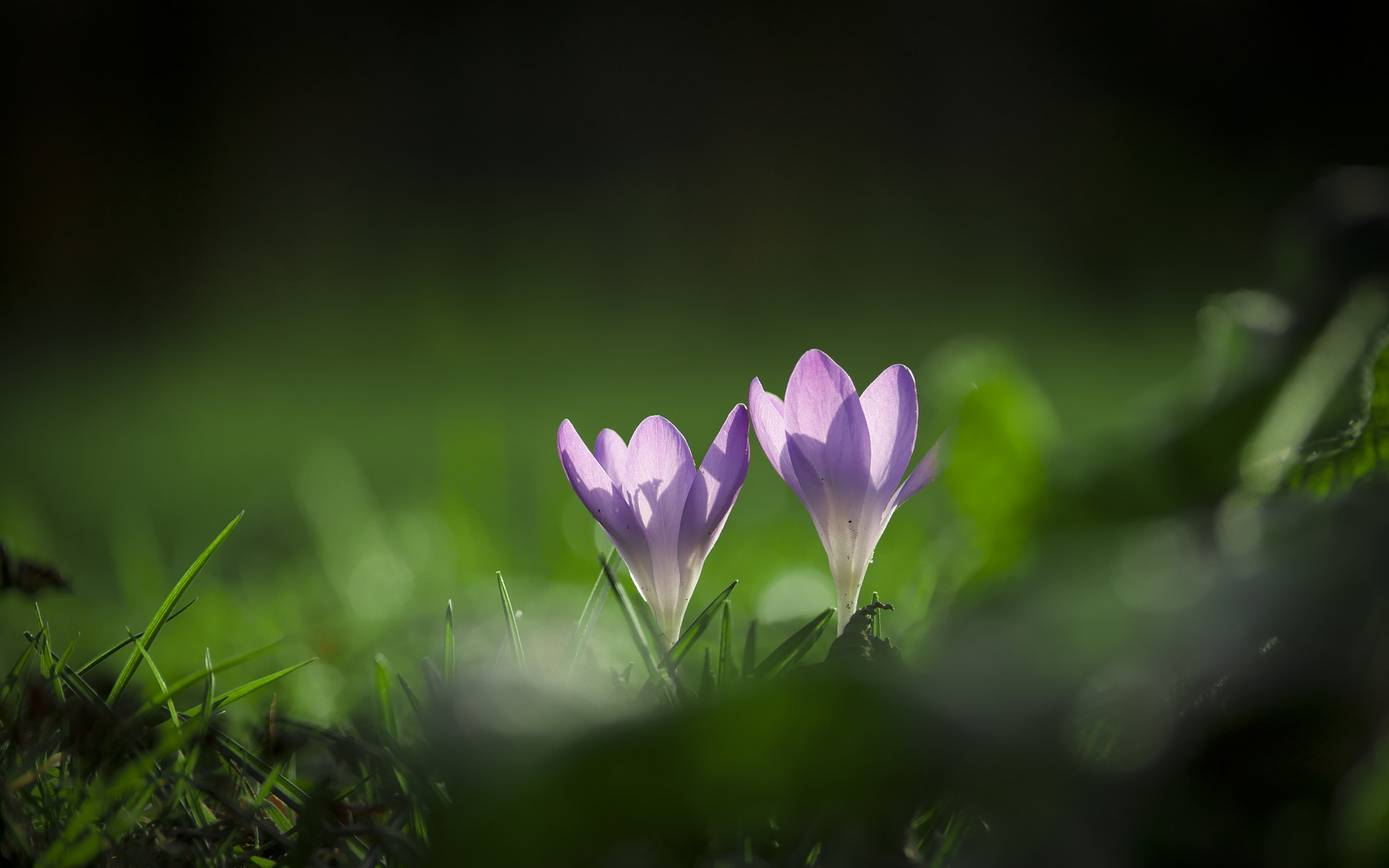 Panasonic Lumix G X Vario 35-100mm F2.8 OIS sample photo. Sunset photography