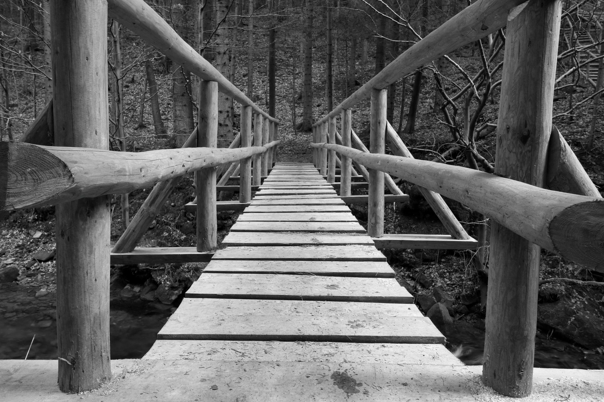Canon EOS 750D (EOS Rebel T6i / EOS Kiss X8i) sample photo. B&w photography