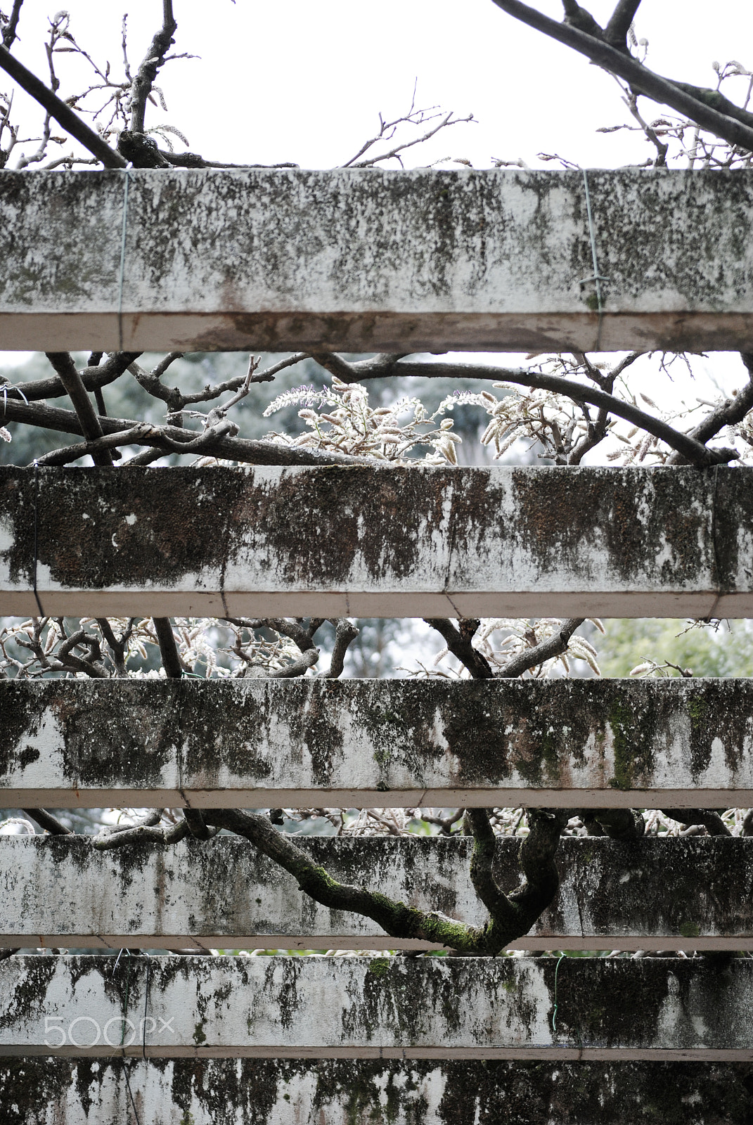 Nikon D3000 sample photo. Crossover photography