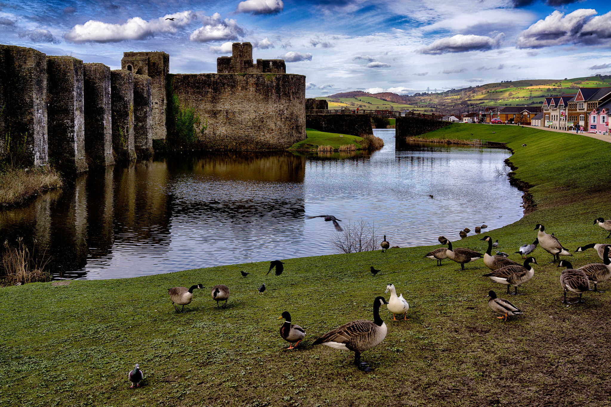 Sony Cyber-shot DSC-RX1 + 35mm F2.0 sample photo. Caerphilly photography