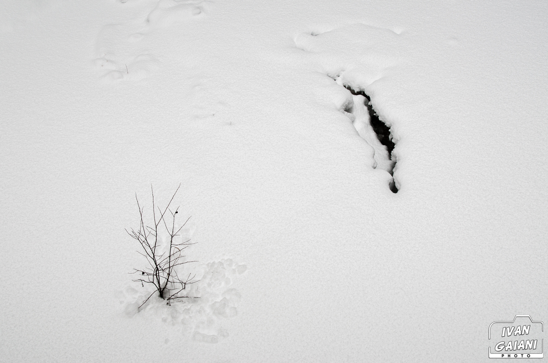 Nikon D90 sample photo. Above and under the snow photography