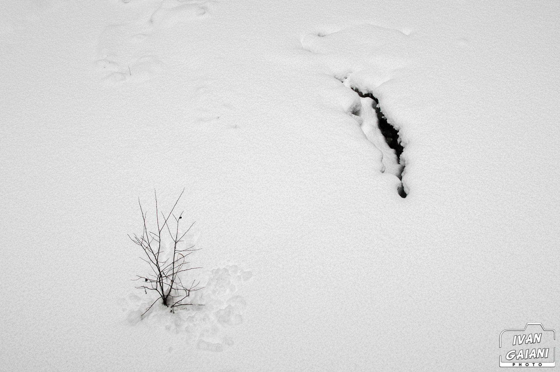 Nikon AF-S Nikkor 200-400mm F4G ED-IF VR sample photo. Above and under the snow photography