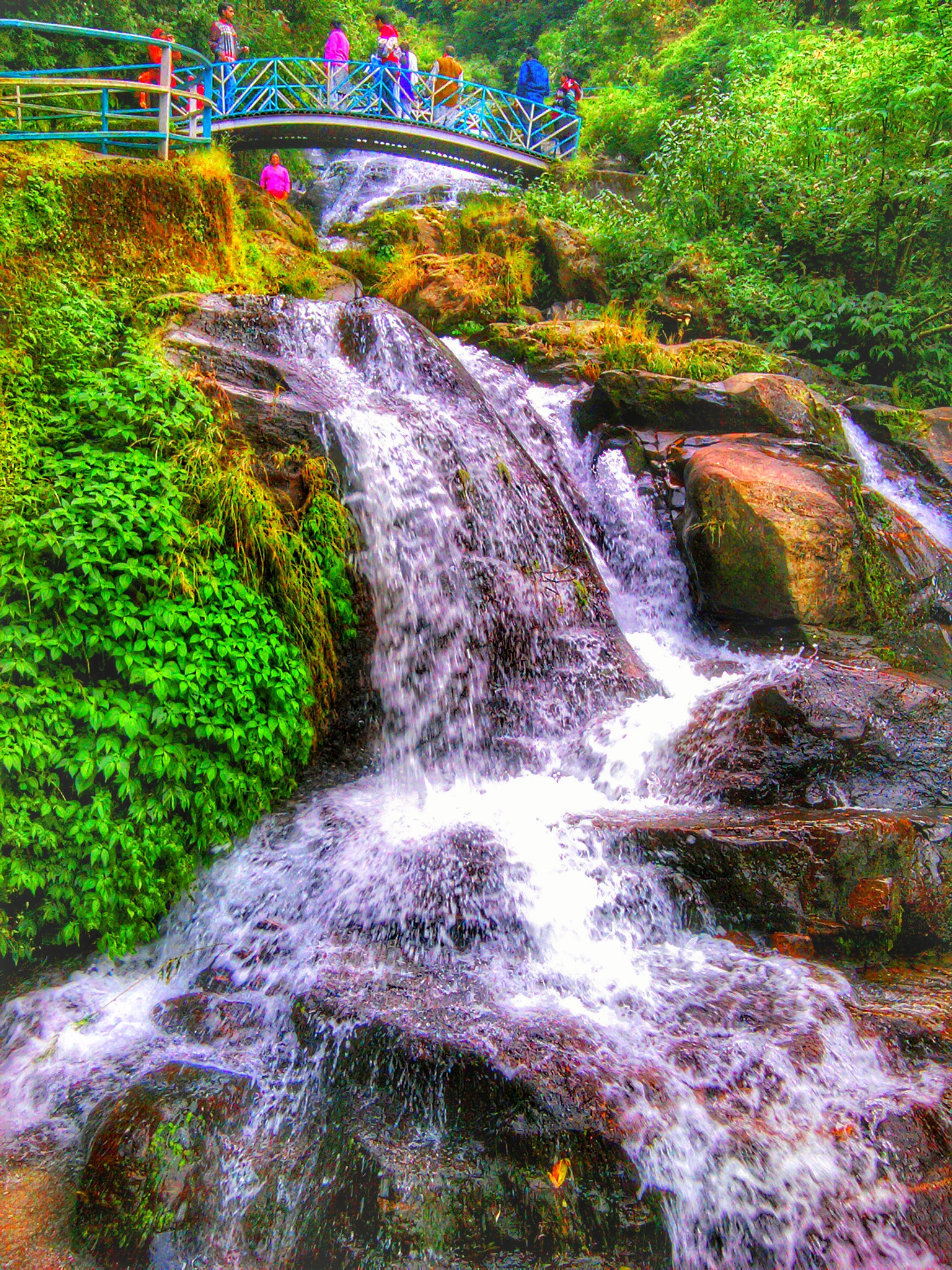 Samsung Galaxy Apollo sample photo. Rock garden darjeeling photography