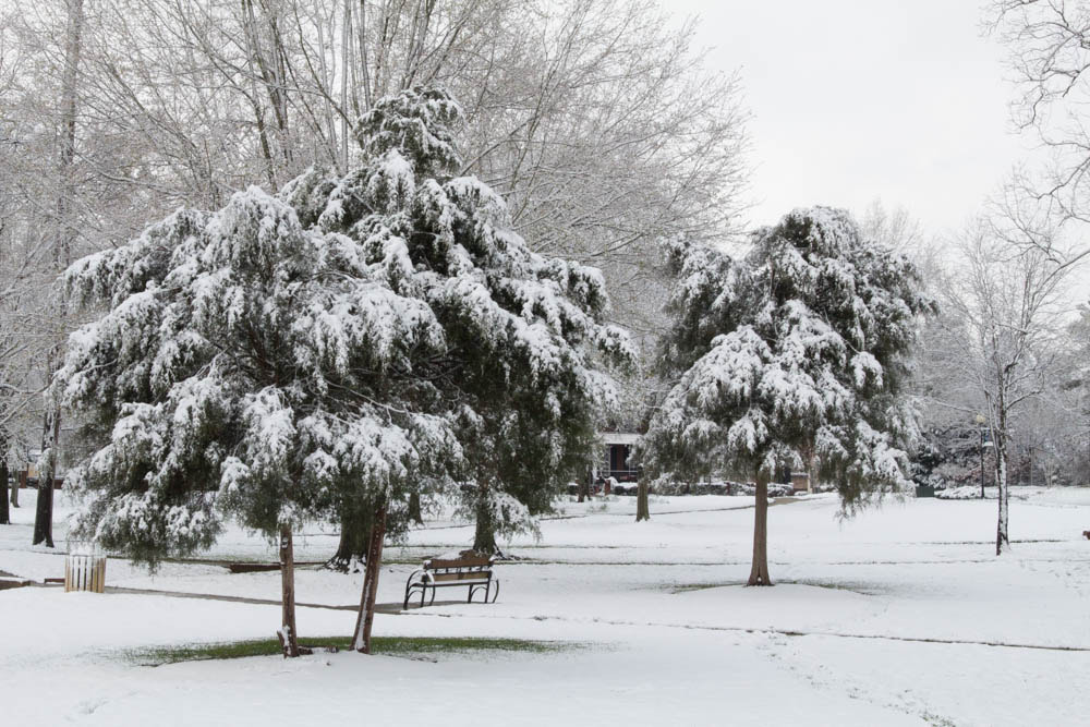 Canon TS-E 90mm F2.8 Tilt-Shift sample photo. Nc snow (of ) photography