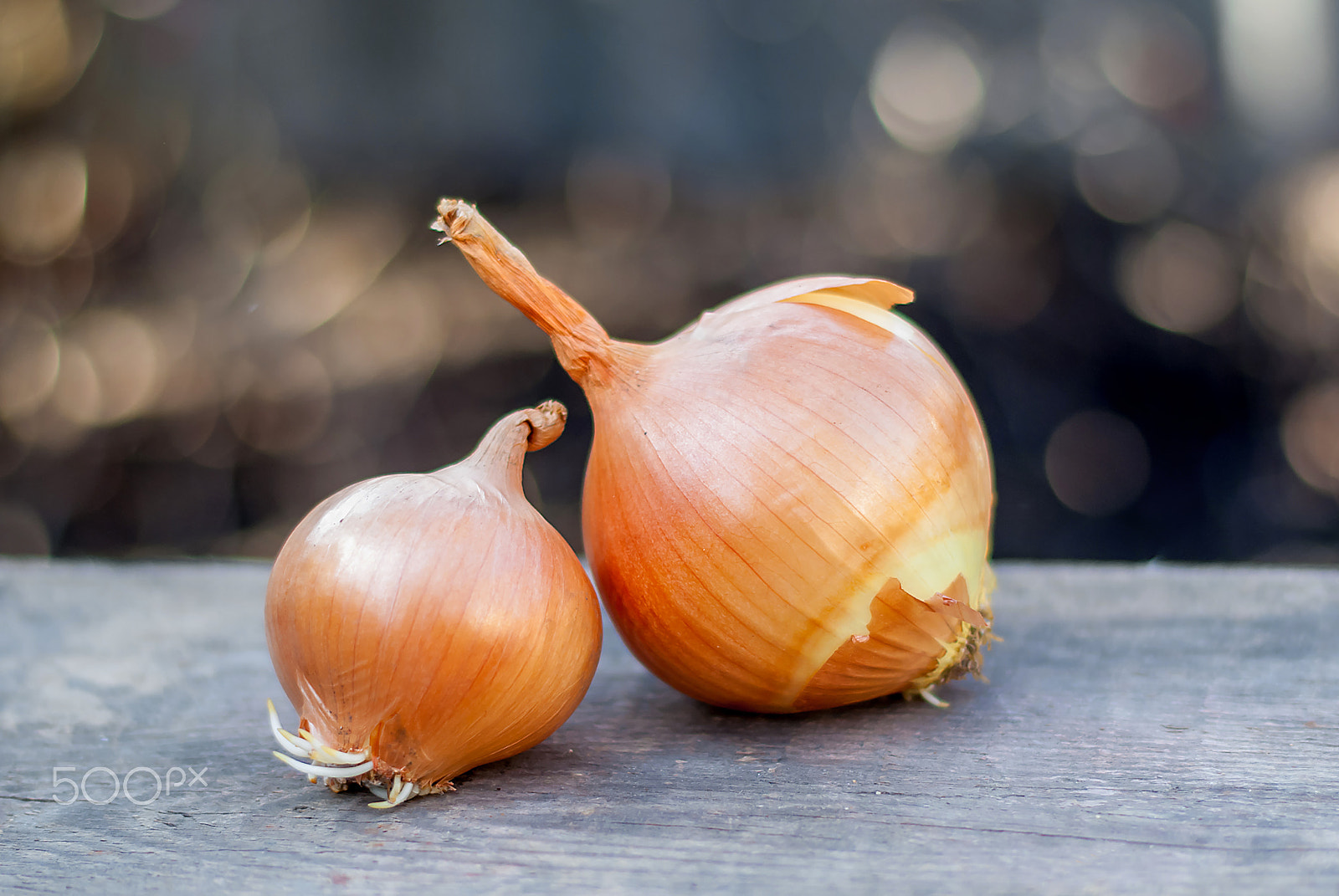 Pentax K10D sample photo. Onions on a background of beautiful bokeh photography