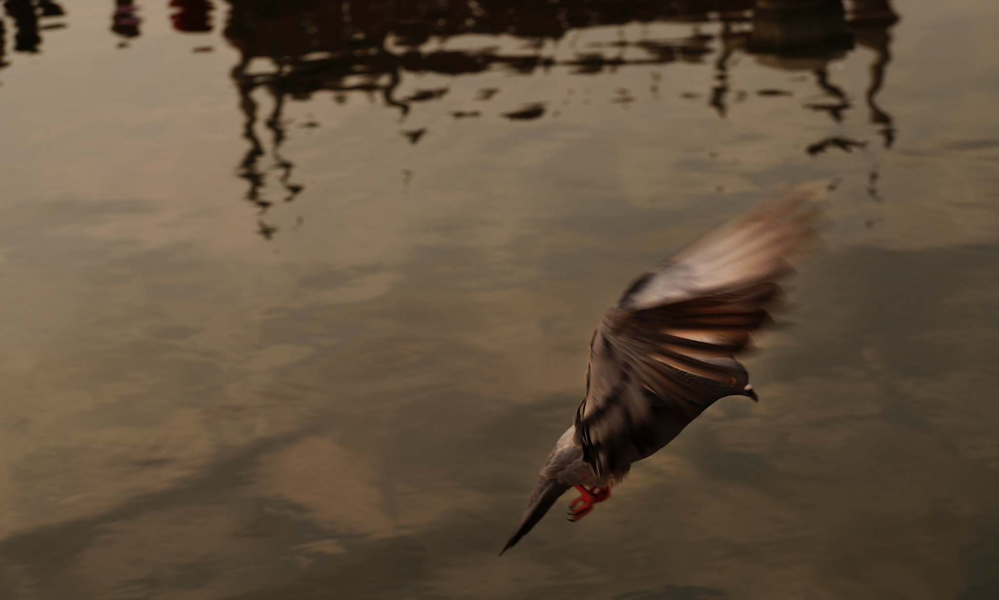 Sony DT 18-135mm F3.5-5.6 SAM sample photo. Dsc photography