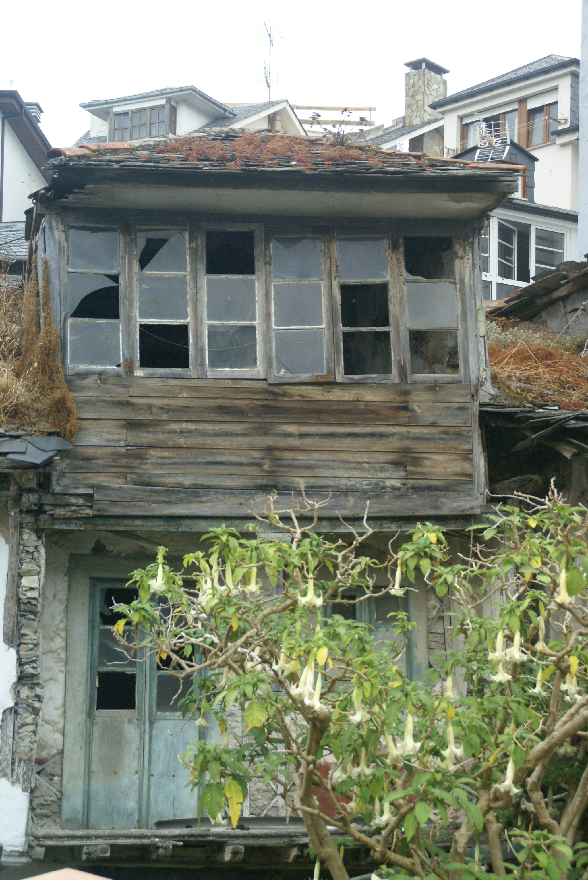 Sony DT 18-200mm F3.5-6.3 sample photo. It knew better times photography